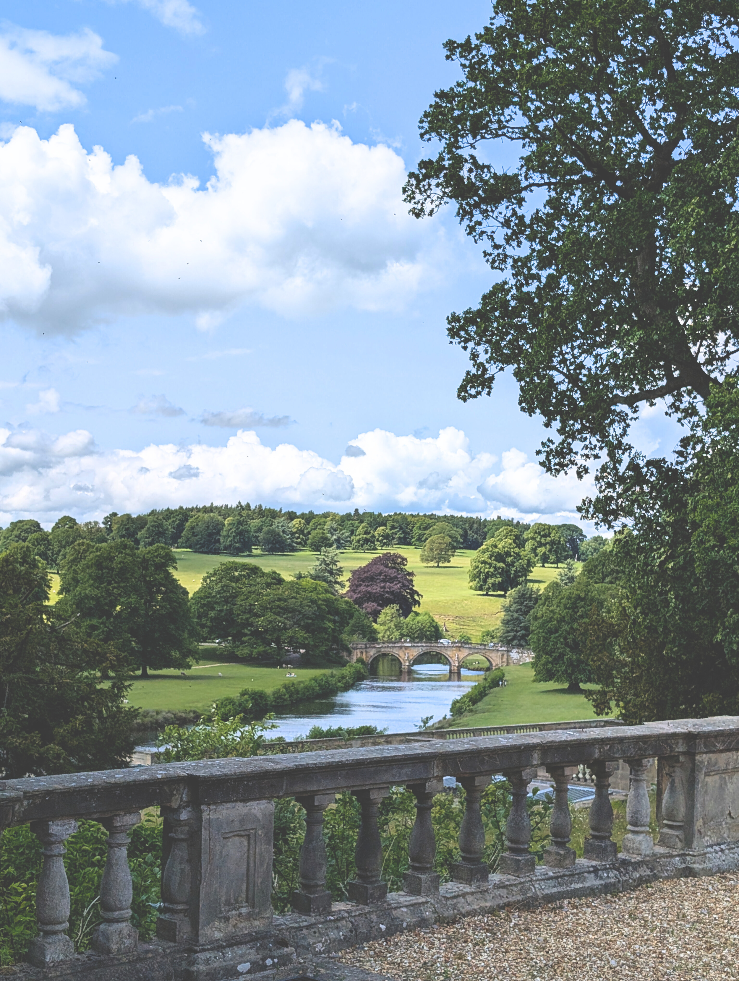 Untitled design (20).png