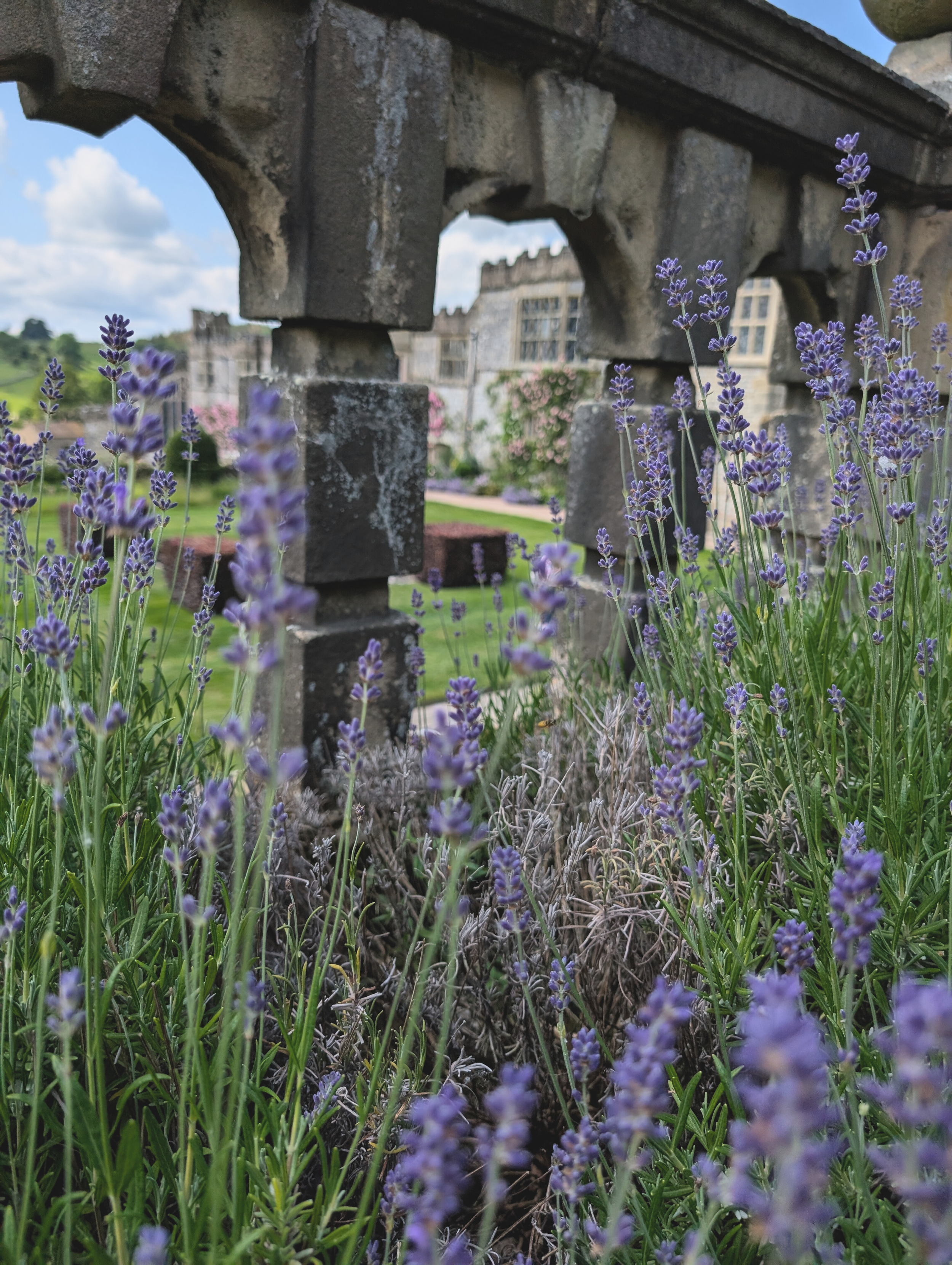 Untitled design (15).png