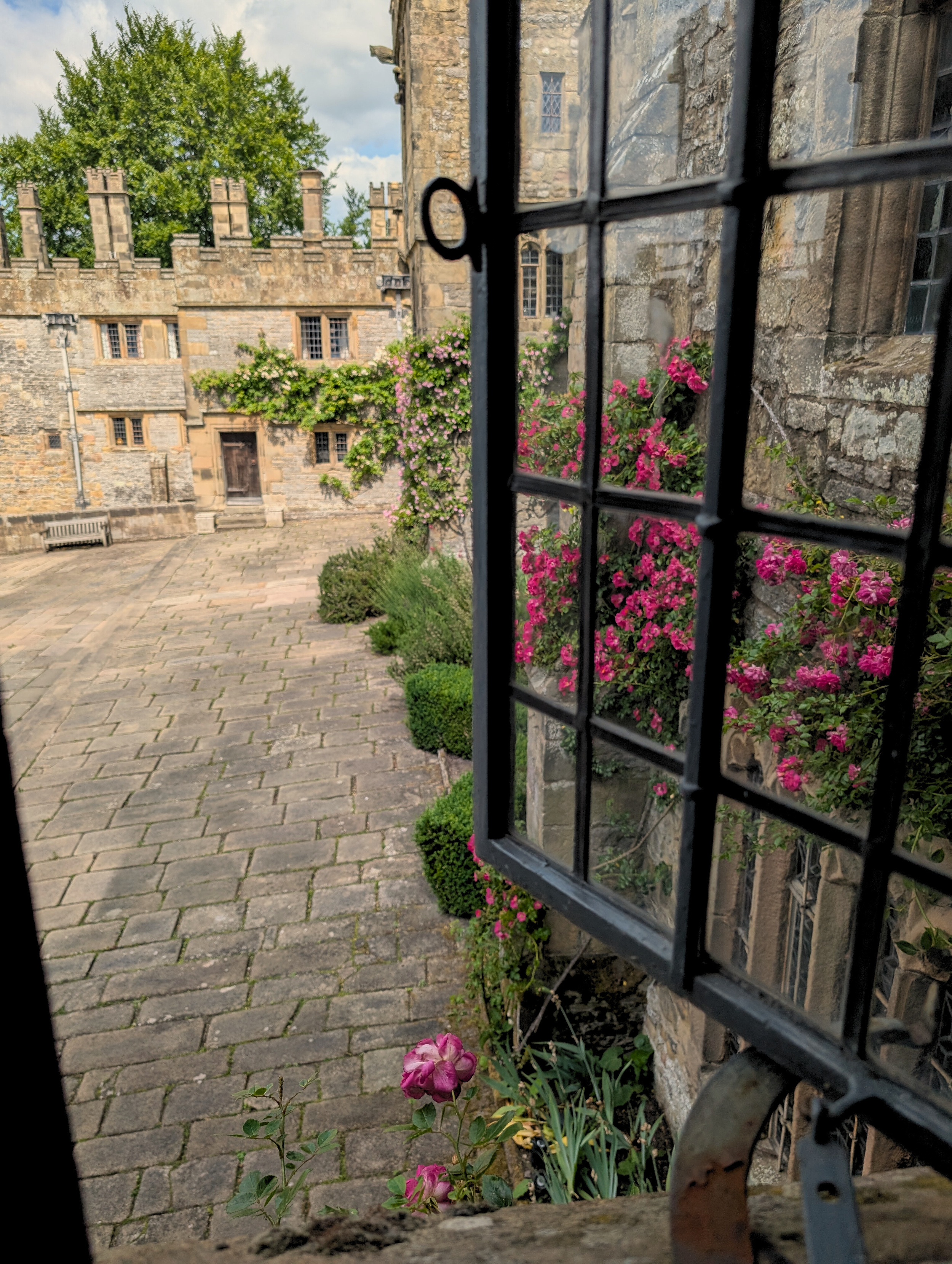 Untitled design (10).png