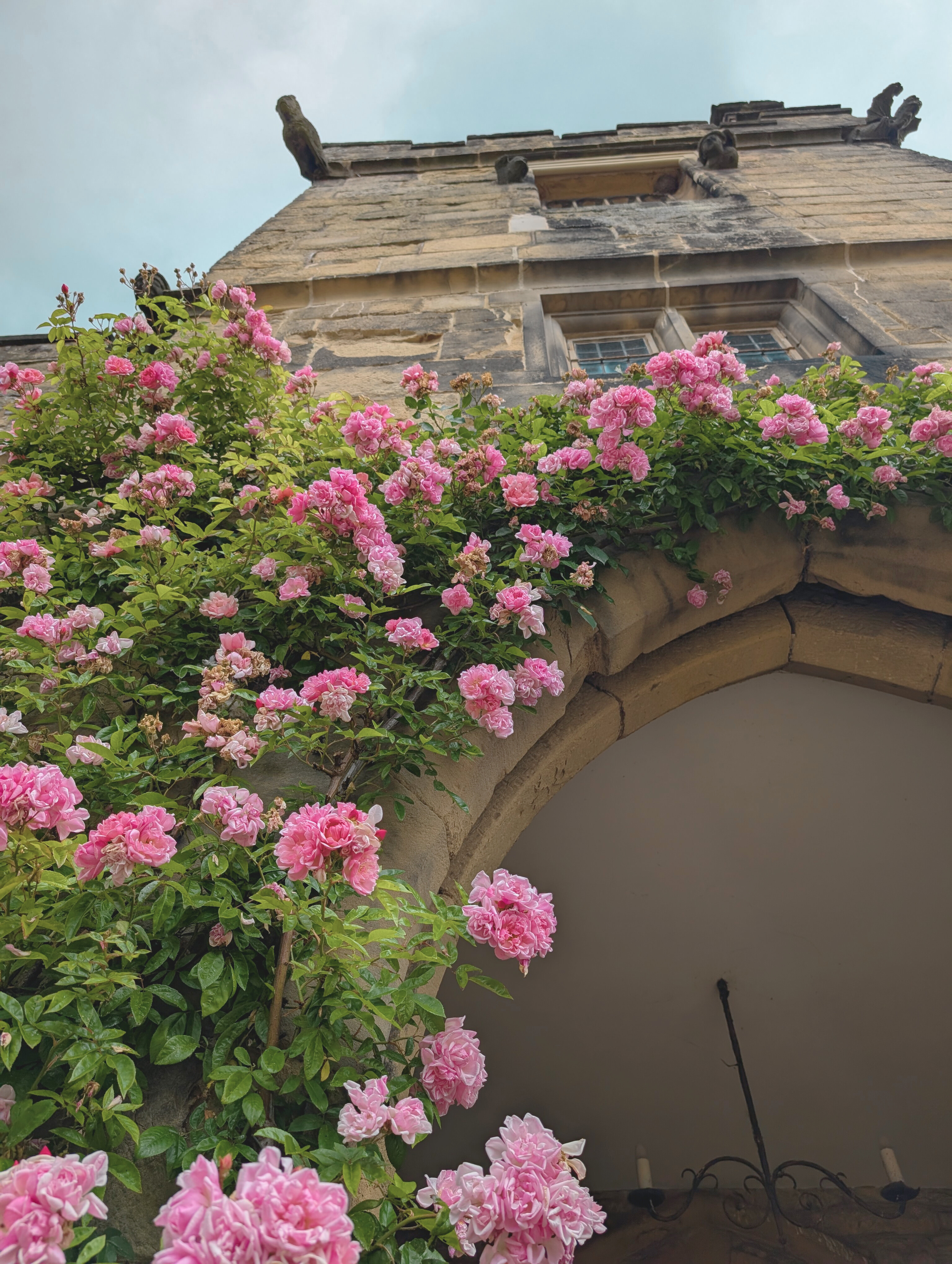 Untitled design (36).png