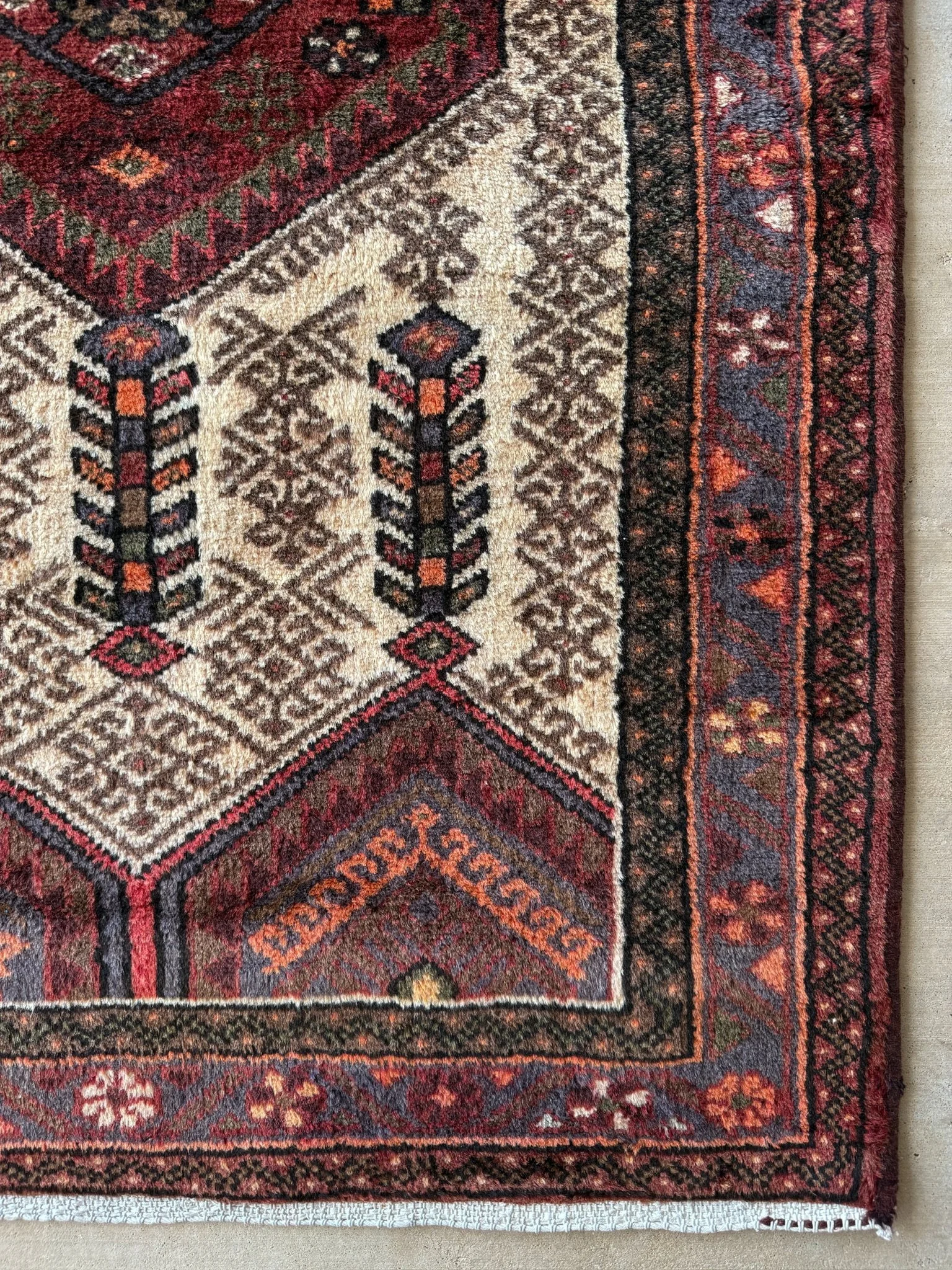 Dewberry Noir | 3’ x 4’7