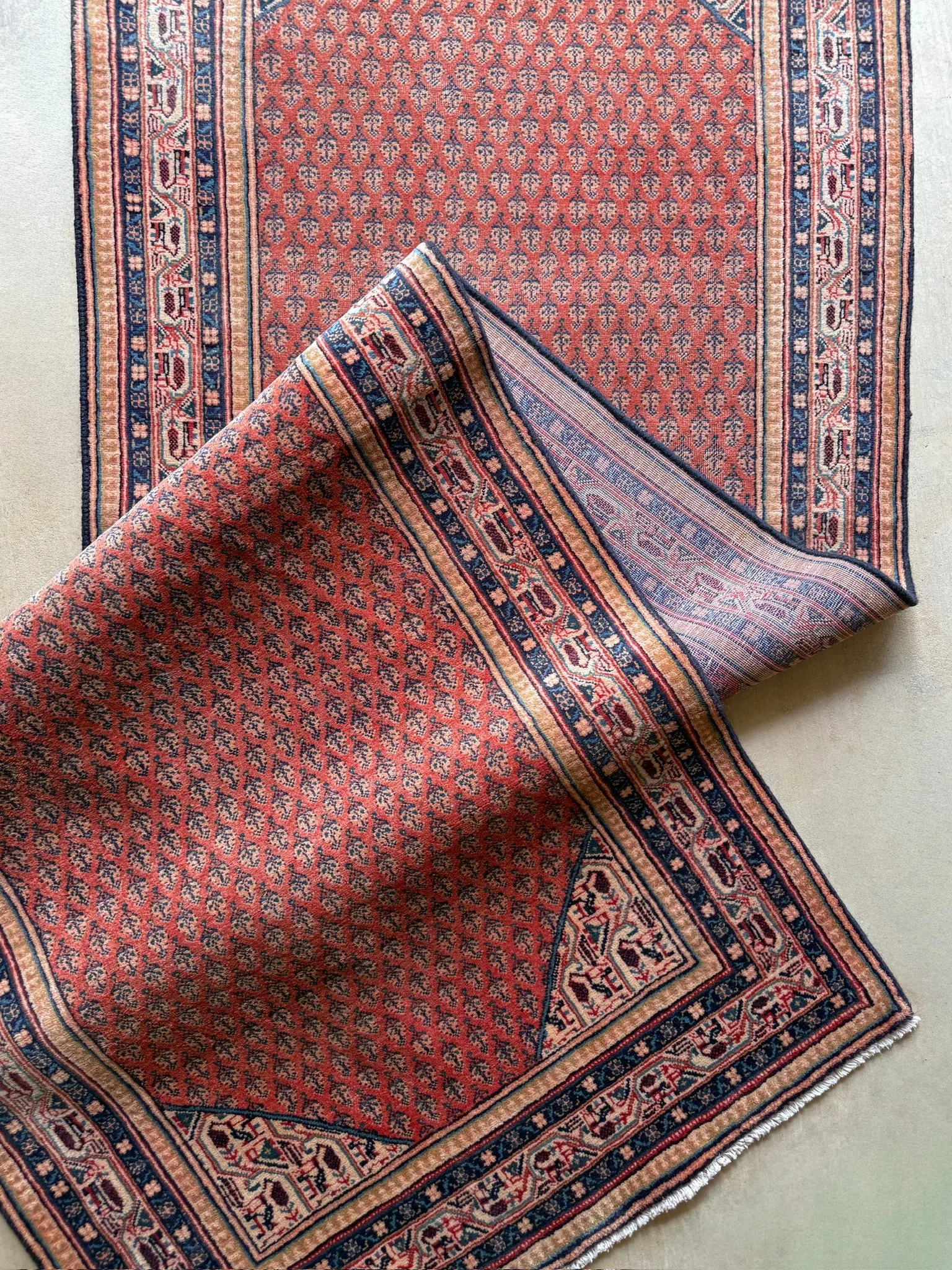 IMG_6894.jpeg