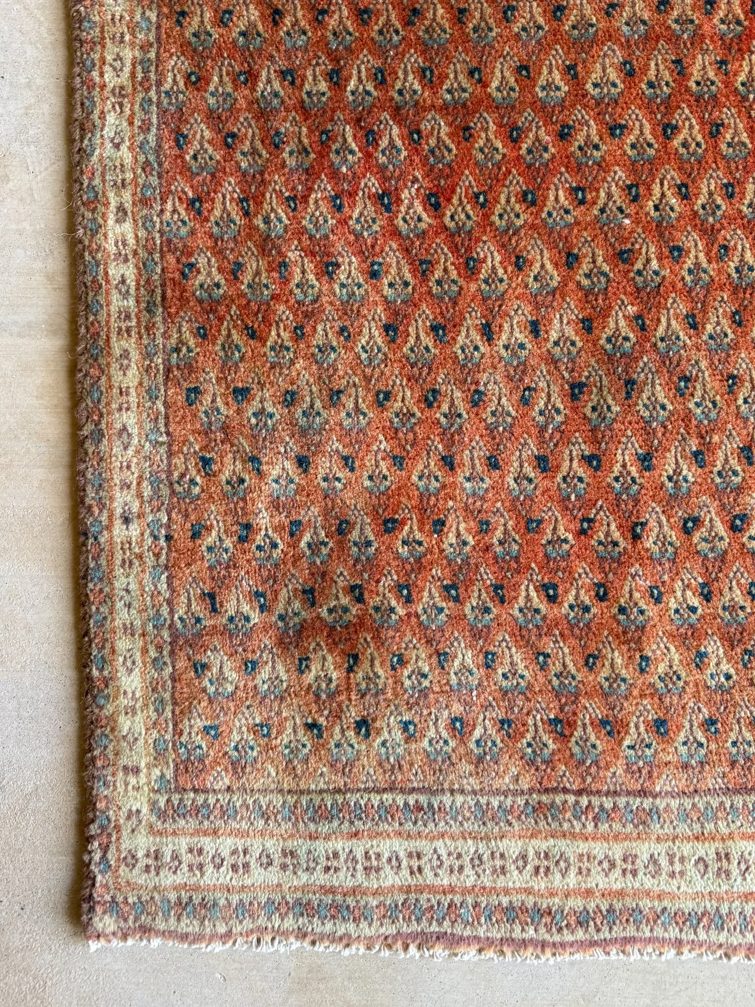 Terracotta Whisper | 2’ x 3’9