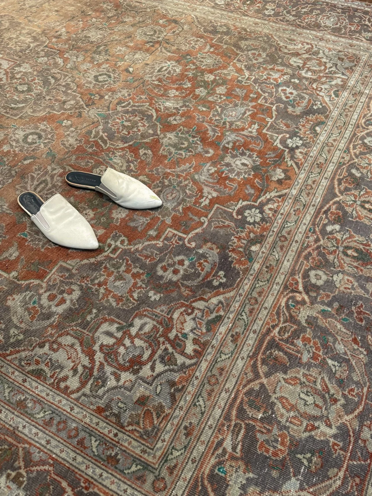 IMG_5810.jpeg