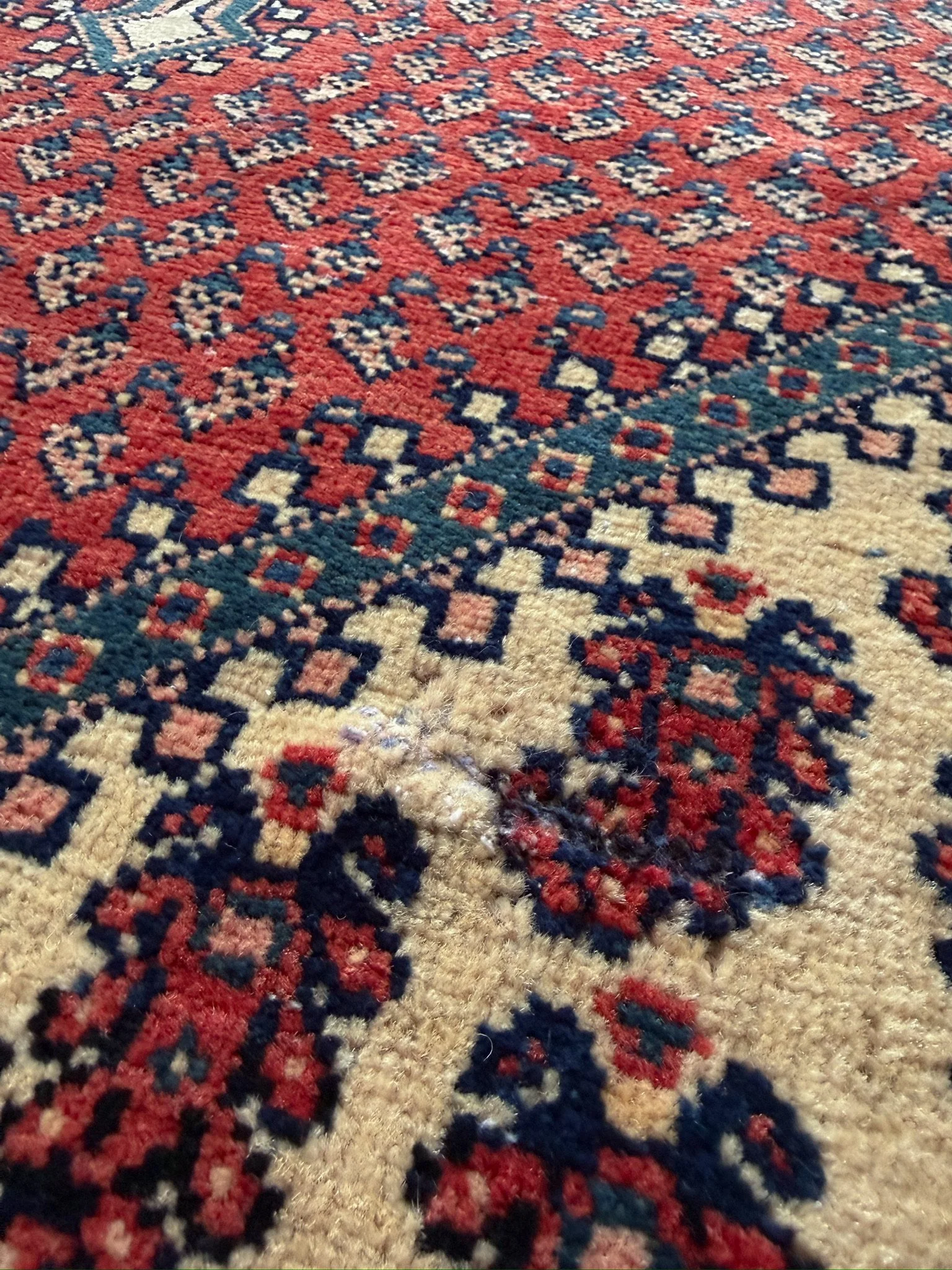 IMG_9056.jpeg