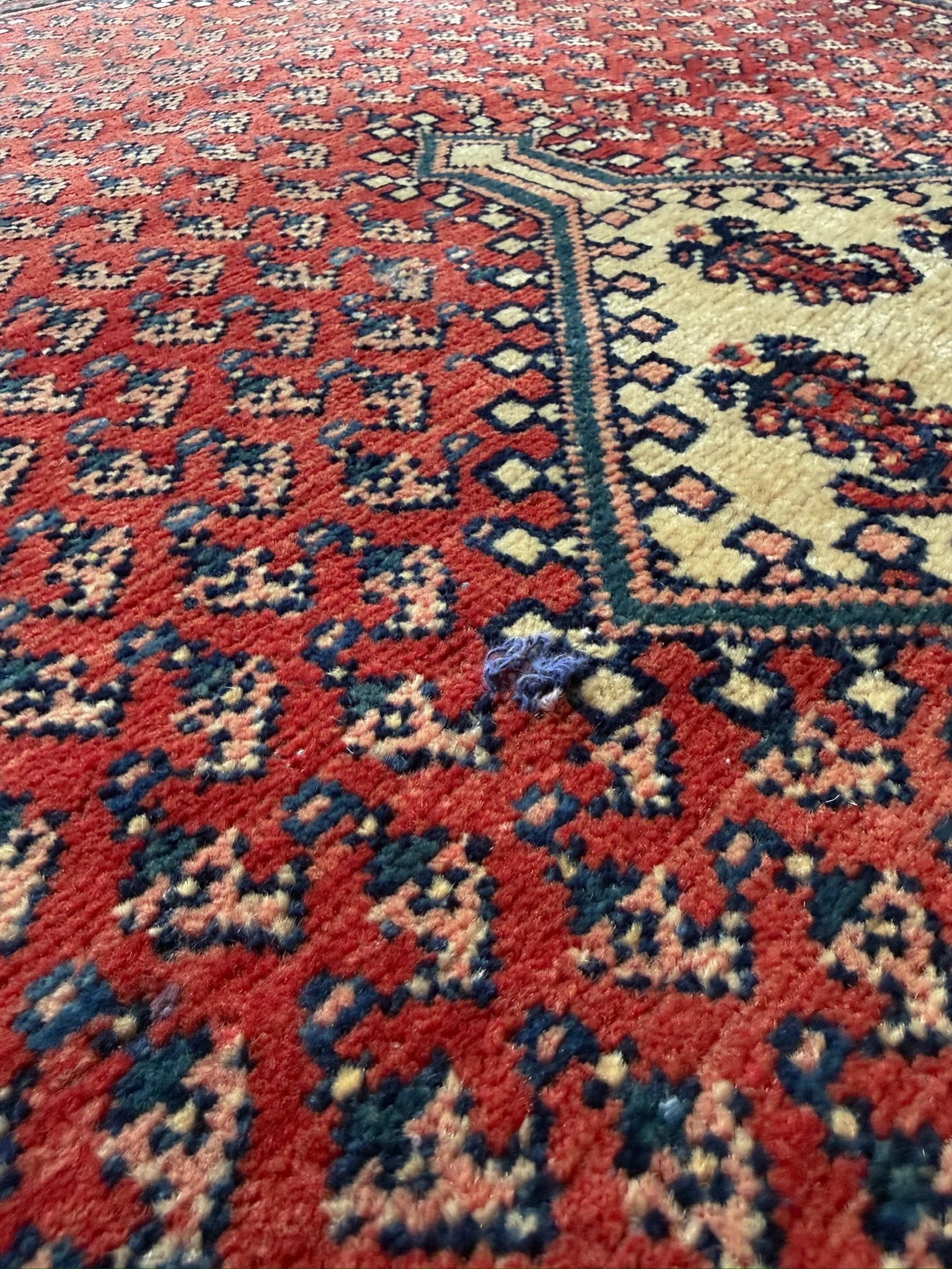 IMG_9052.jpeg