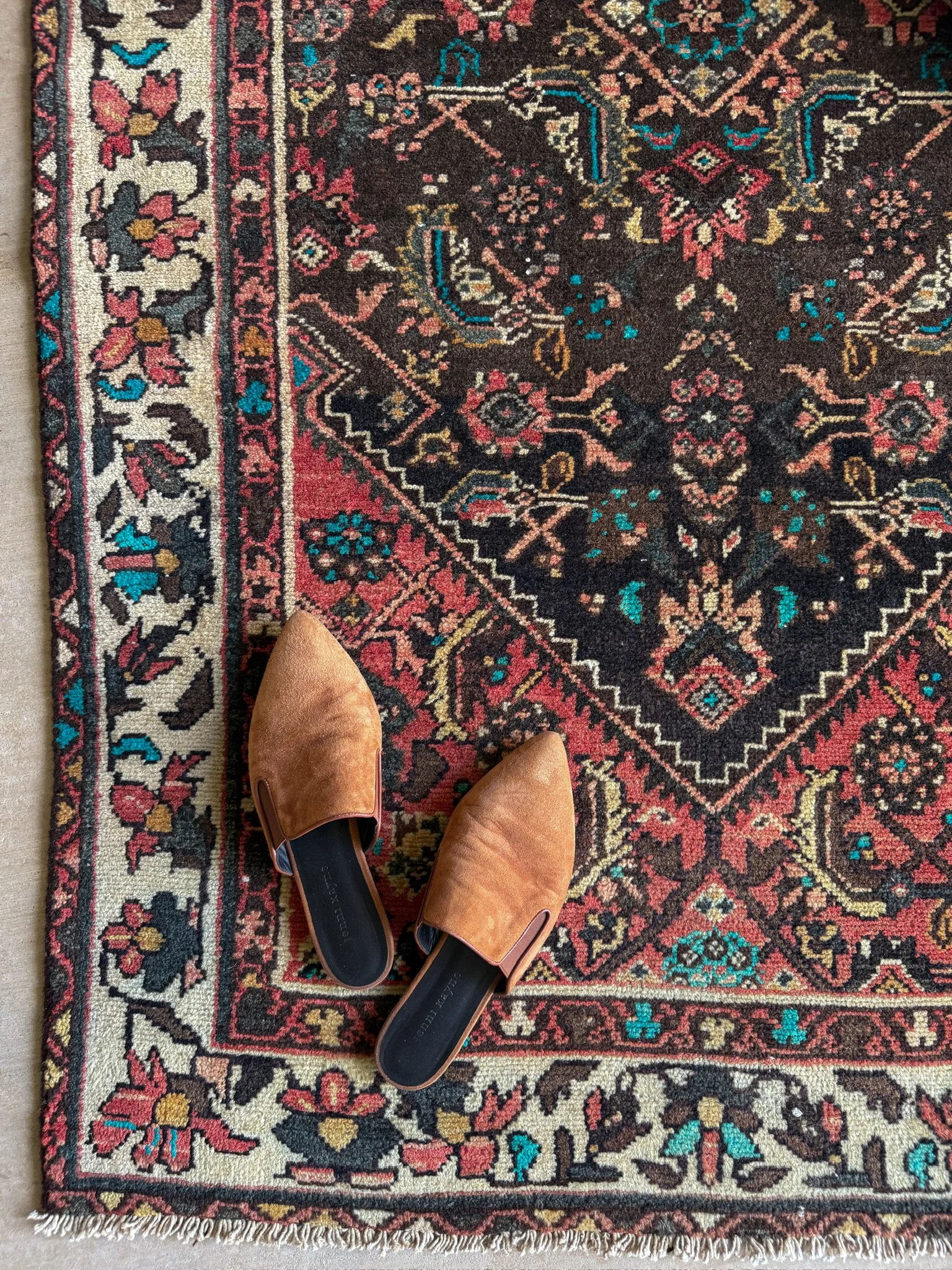 IMG_4036.jpeg