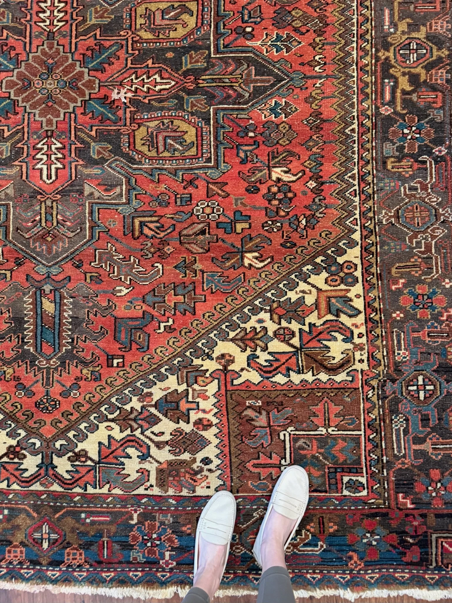 Painted Plume | 8’4 x 9’8