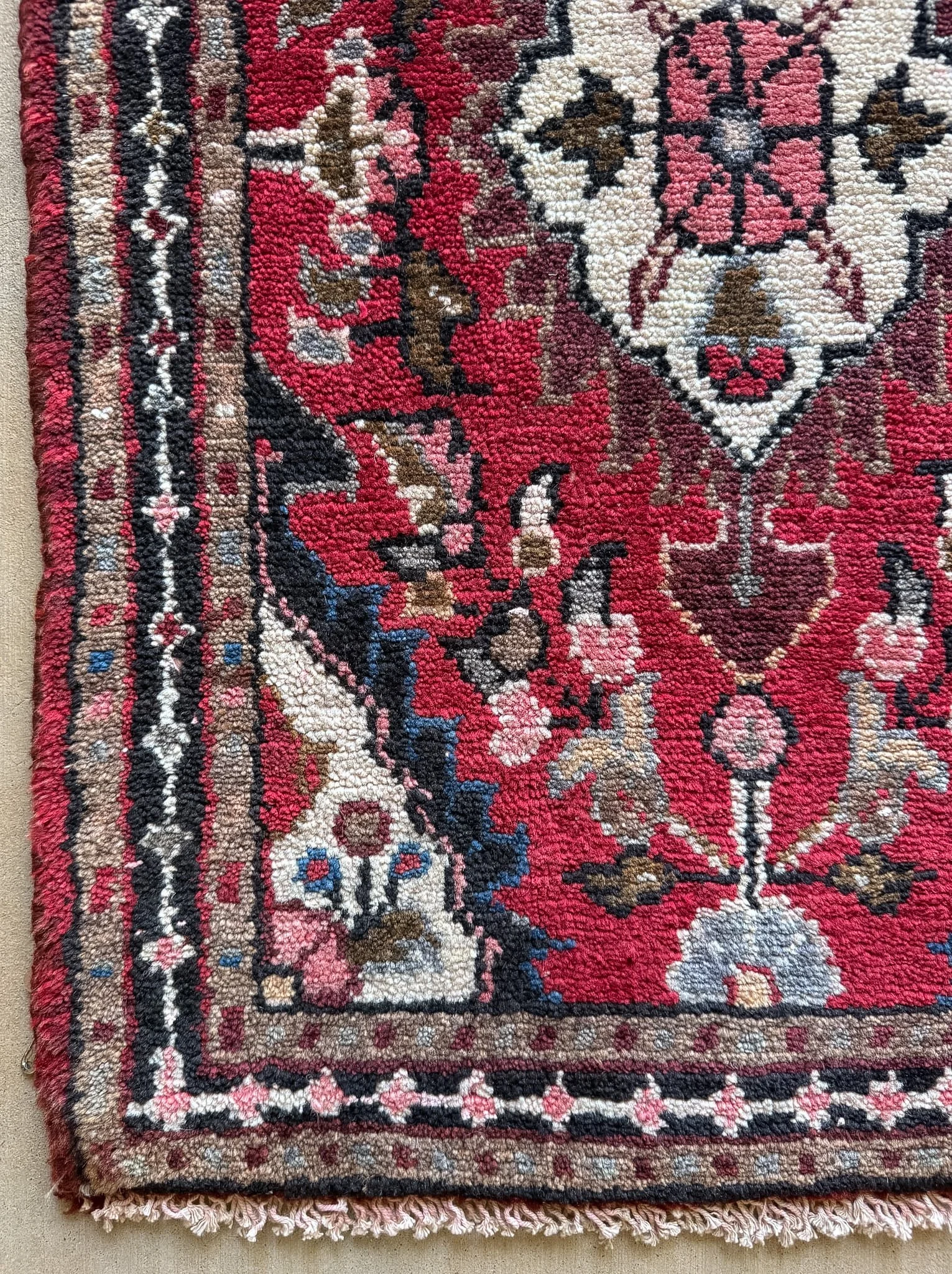 Sweet Annie | 1'9 x 2'8