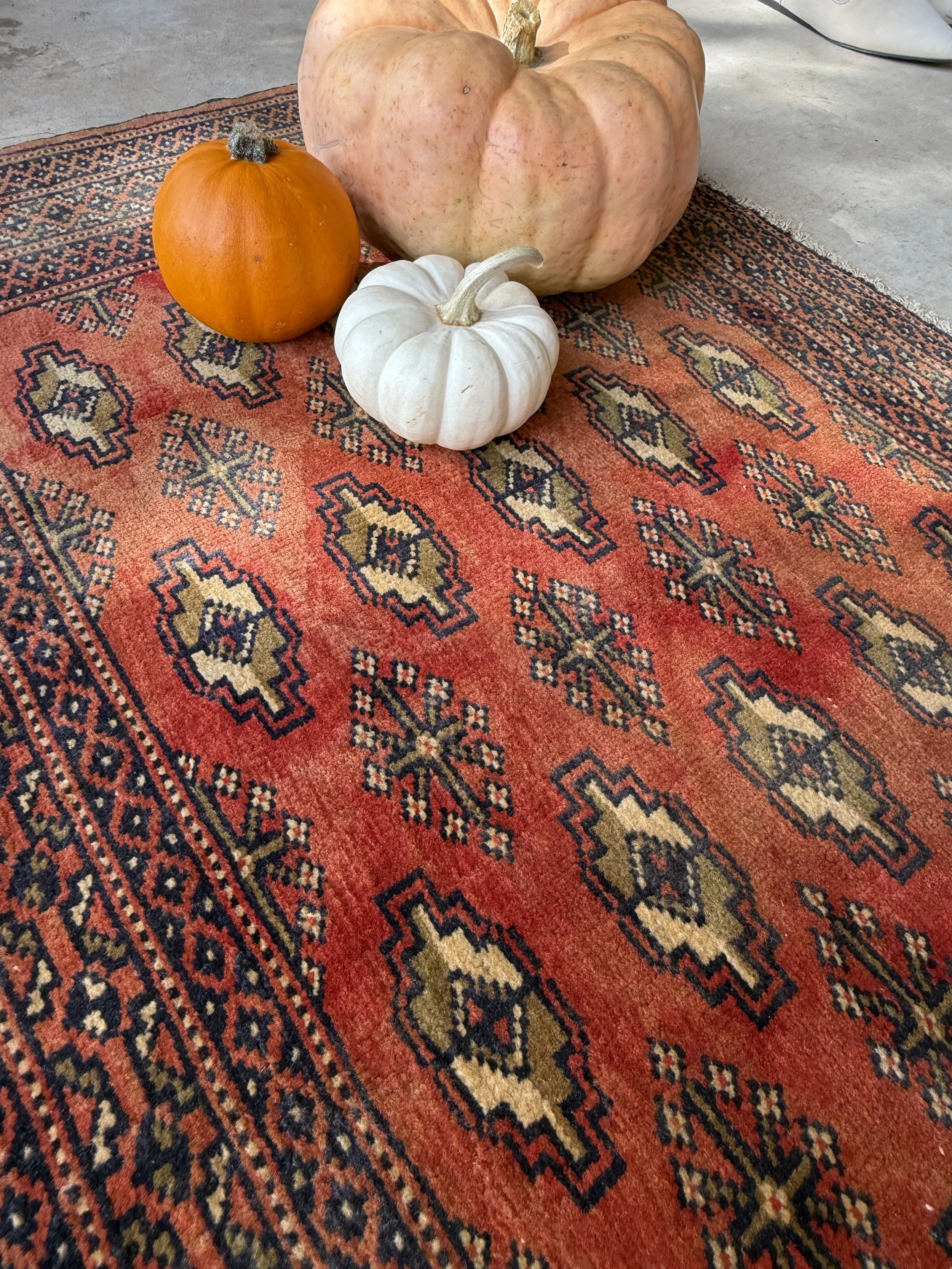 IMG_0135.jpeg
