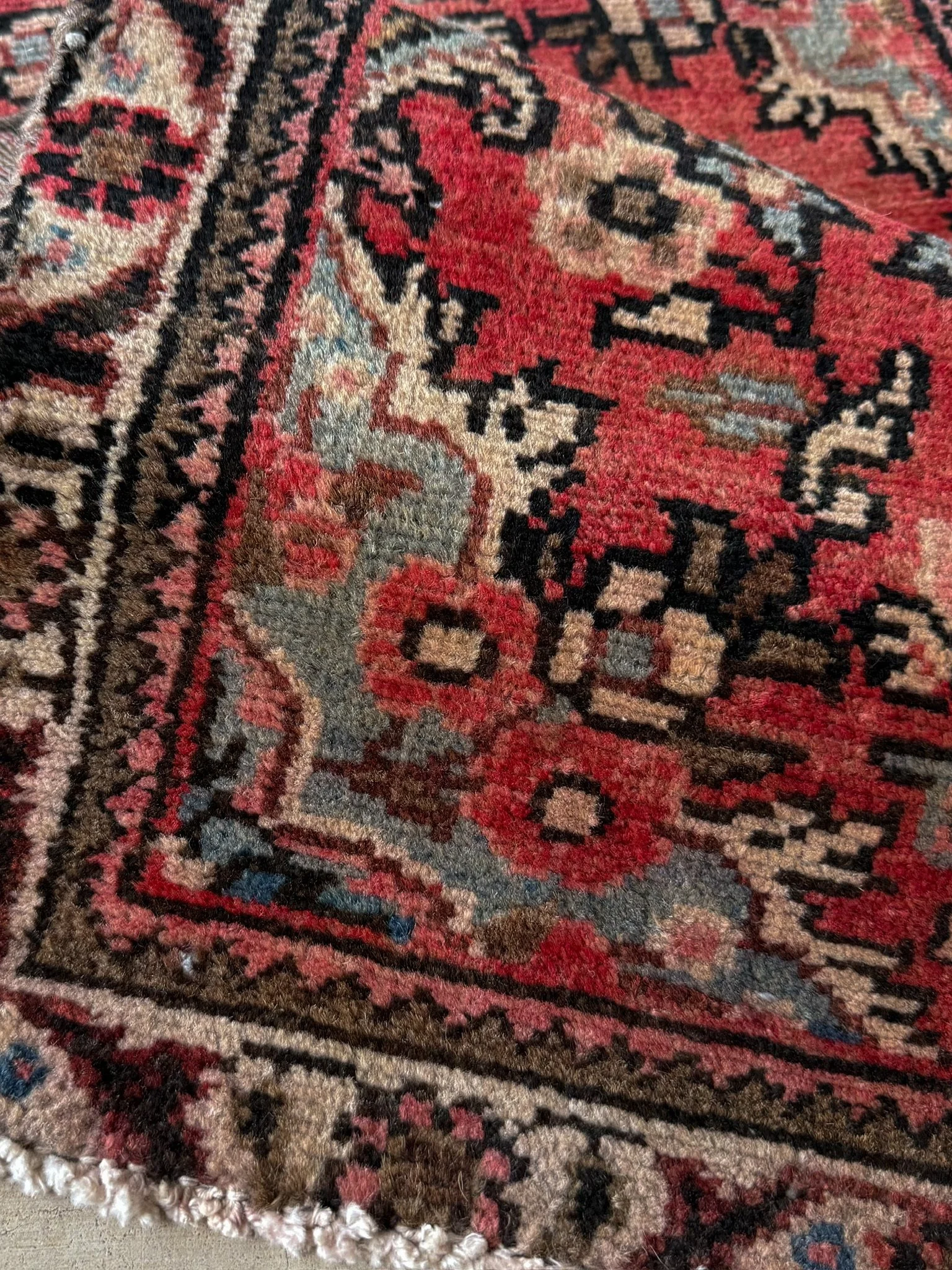 IMG_1903.jpeg