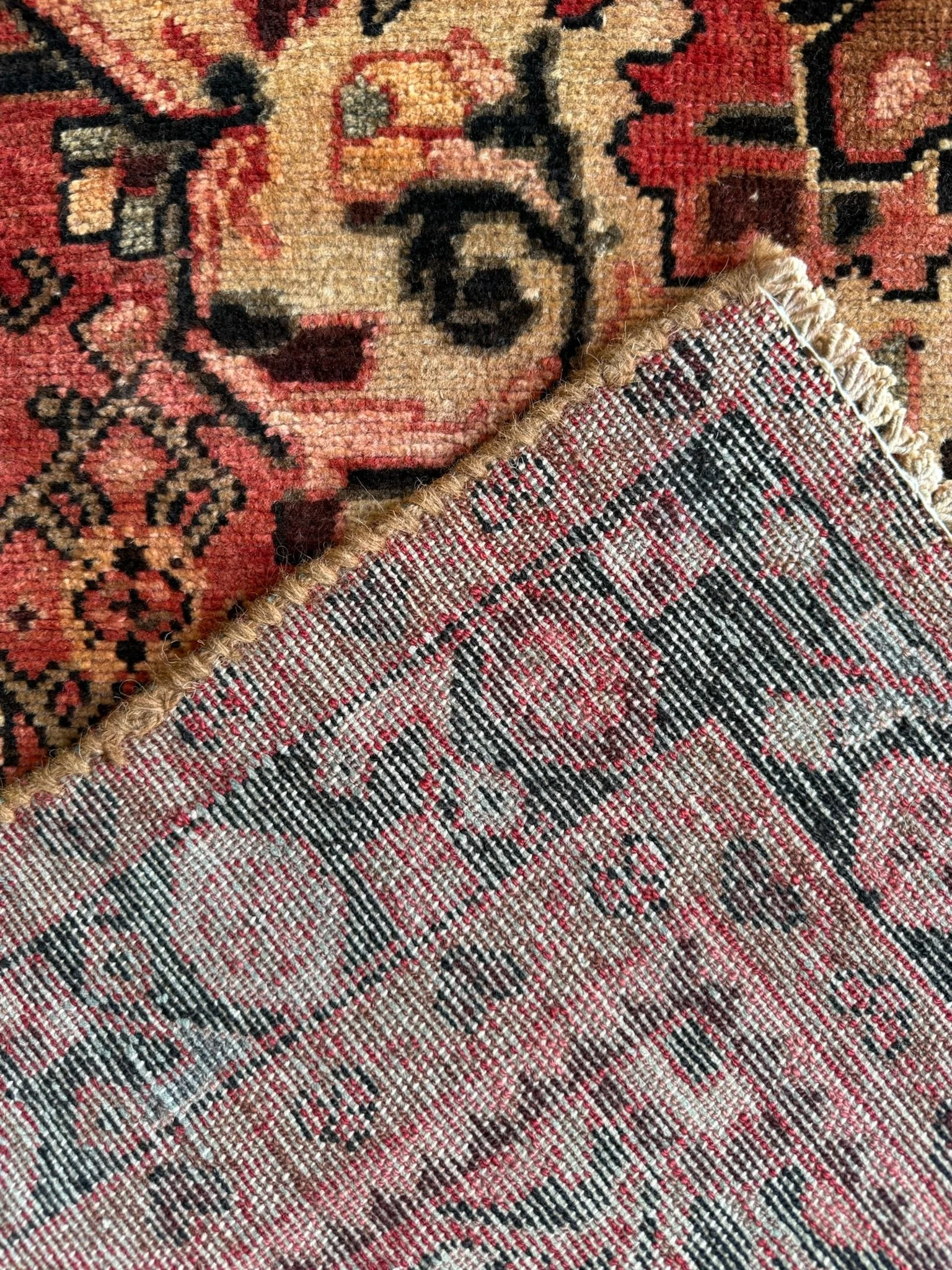 IMG_0934.jpeg