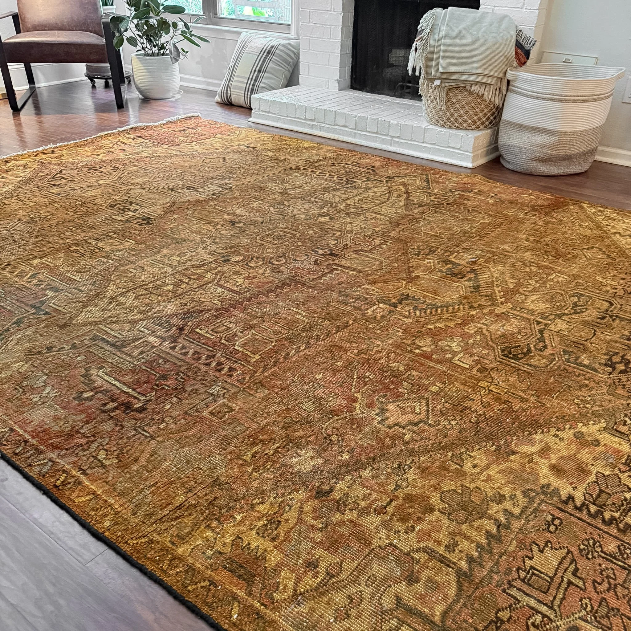 IMG_1879.jpg
