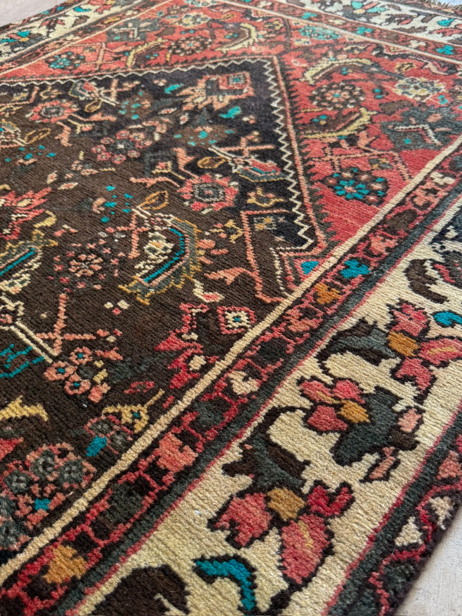 IMG_4035.jpeg