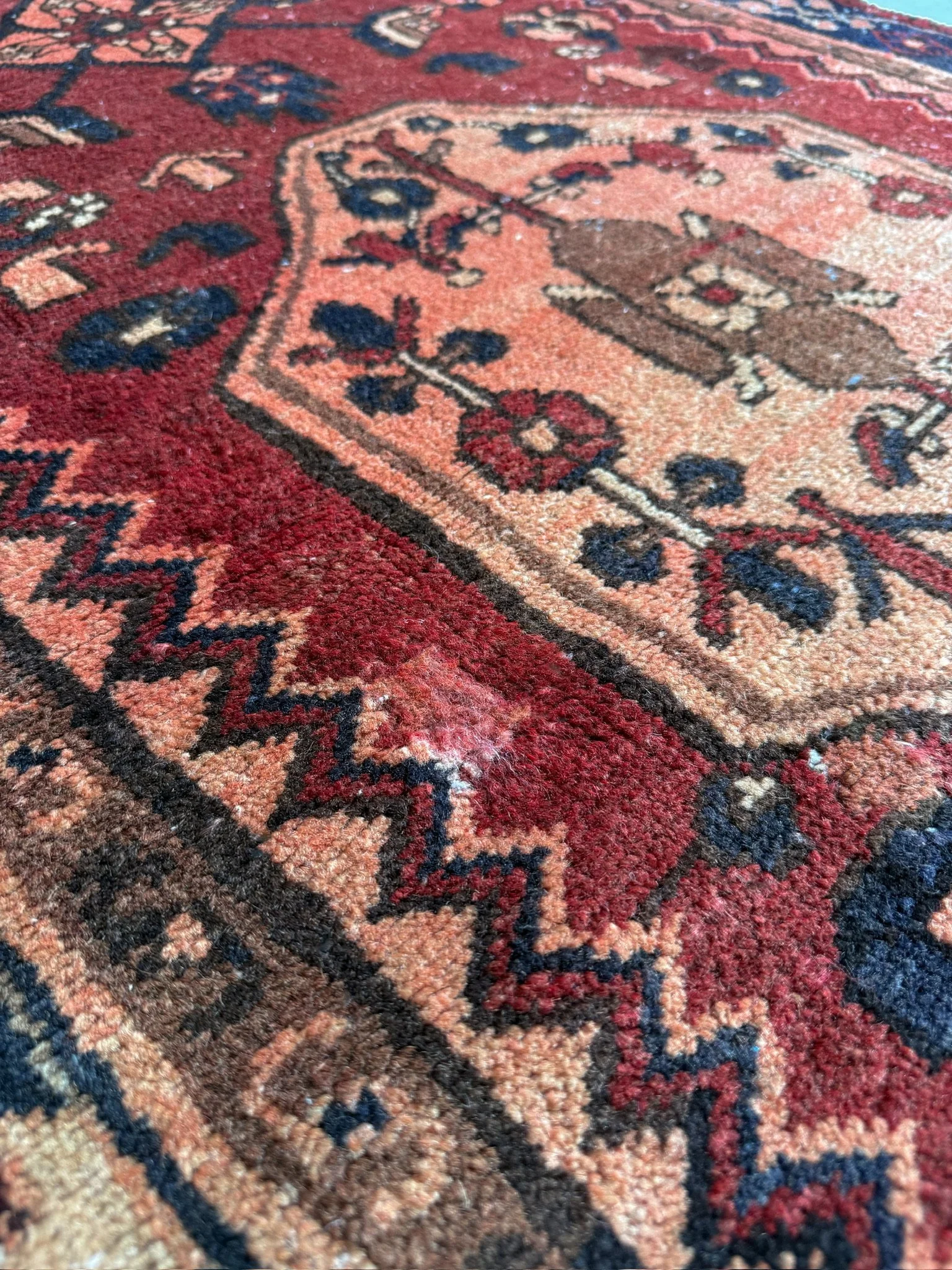 IMG_9548.jpeg