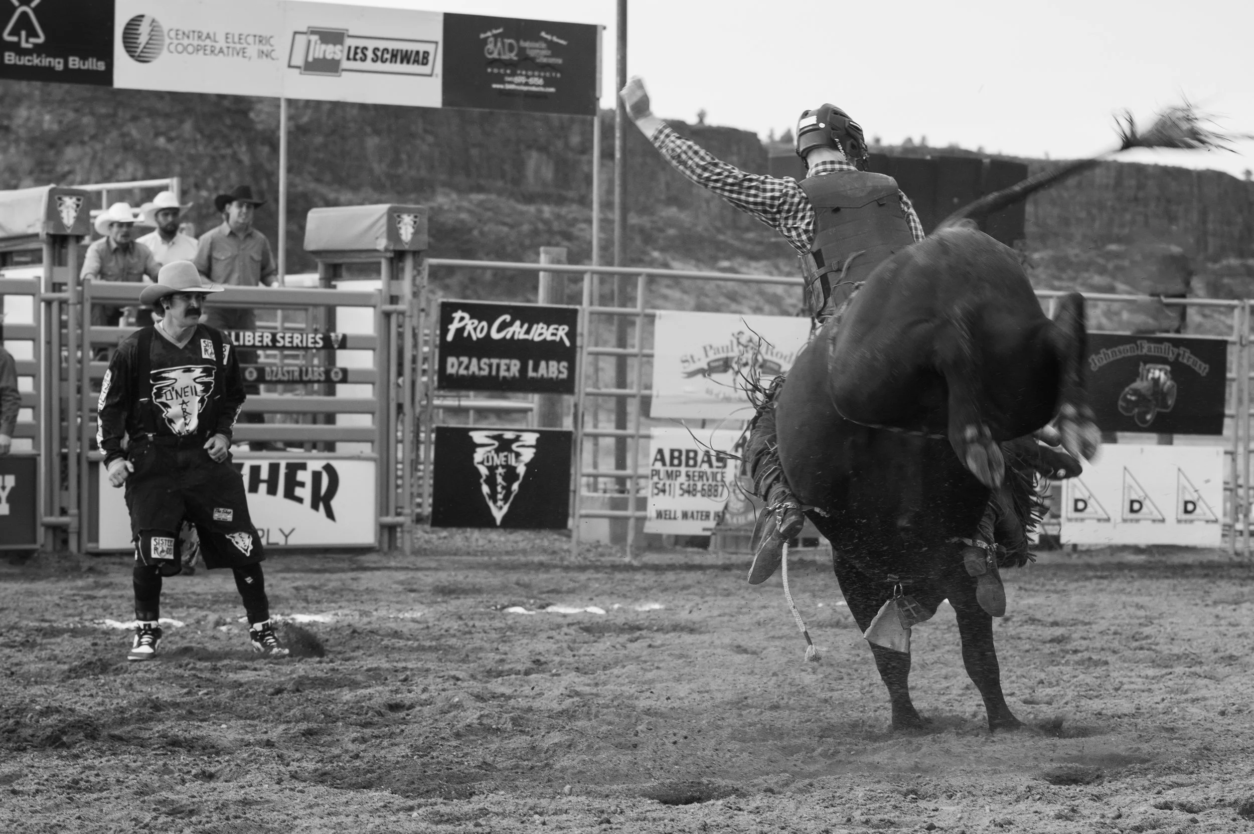 A rodeo scene in black and white with a cowboy riding a bull, a bull fighter looking on, and several onlookers near the fence. There are sponsor signs and advertisements in the background.