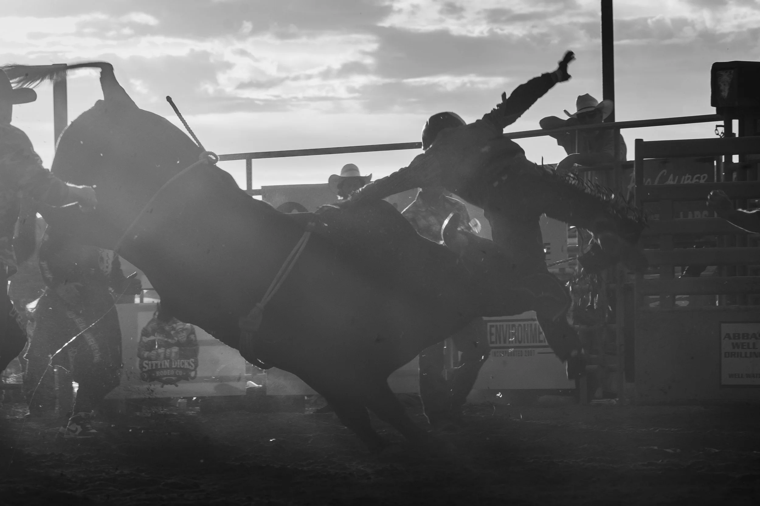 A black and white photo showing a bull rider getting bucked off. The scene is set outdoors with a cloudy sky and sunlight casting shadows. Signs and equipment are visible in the background.