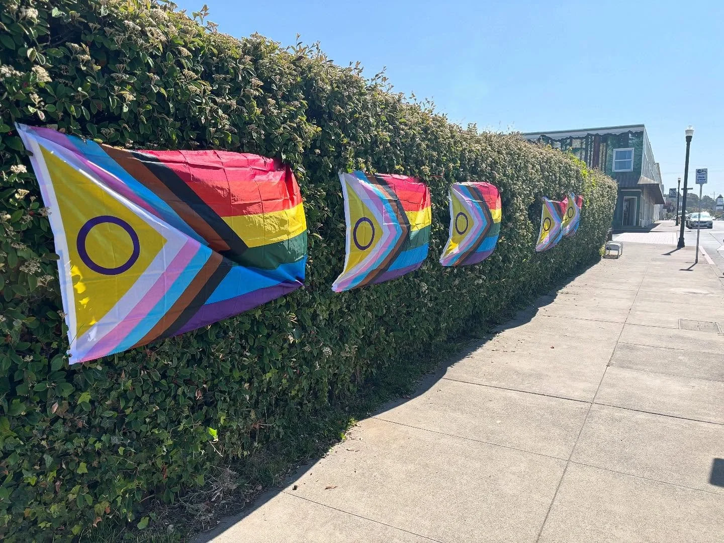June Pride Reflections