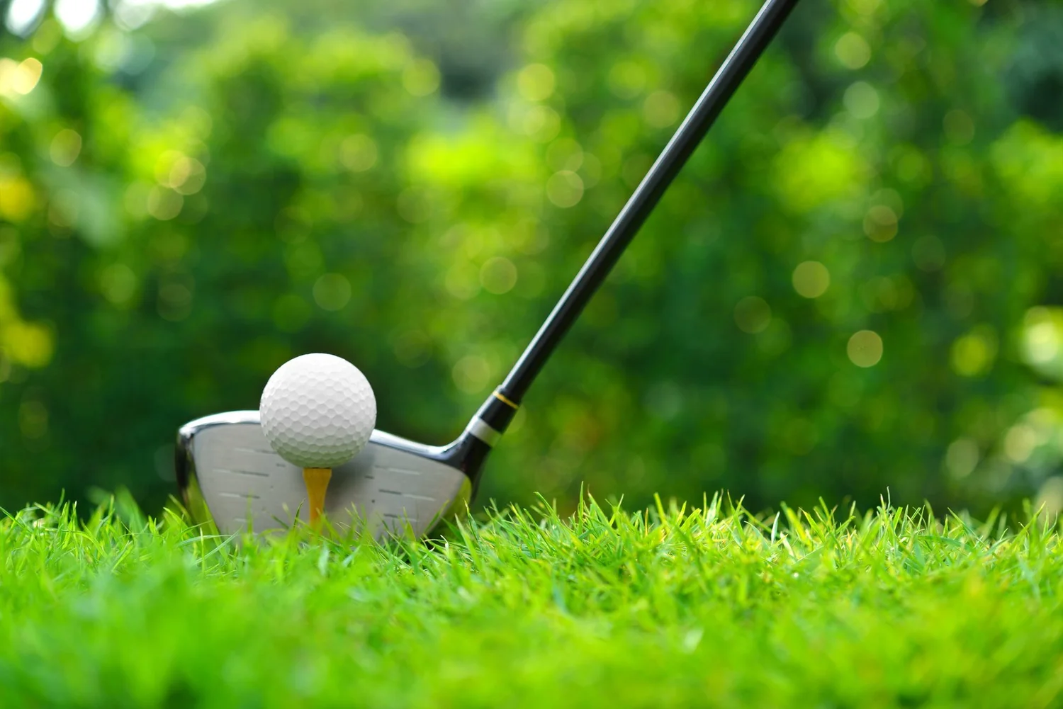 Golf ball and club on the course