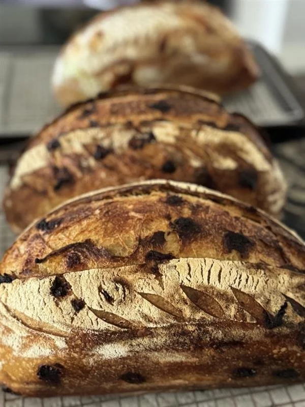 Cinnamon Raisin Organic Sourdough