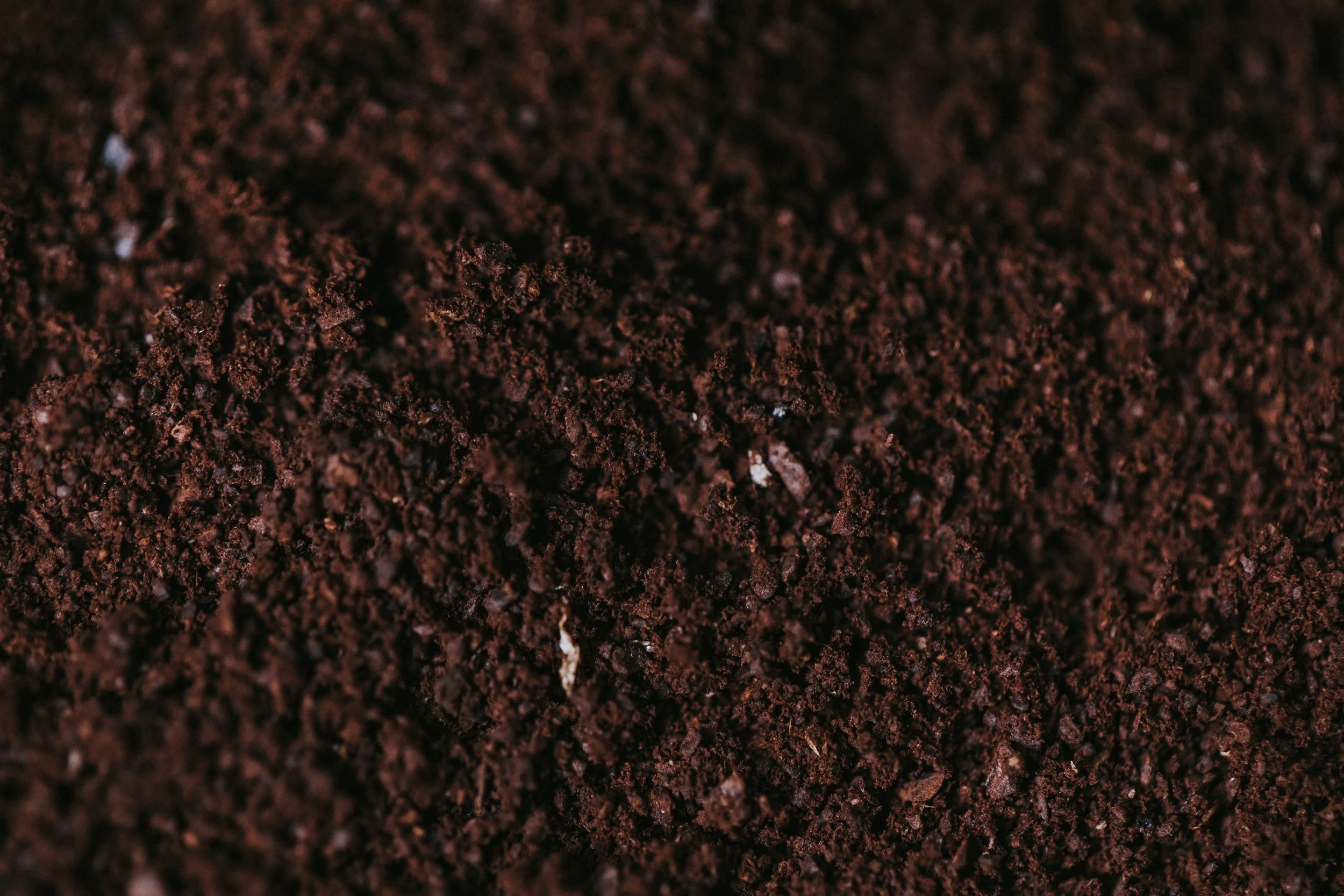 unsplash-image-TOyb9z2IVPQ.jpg