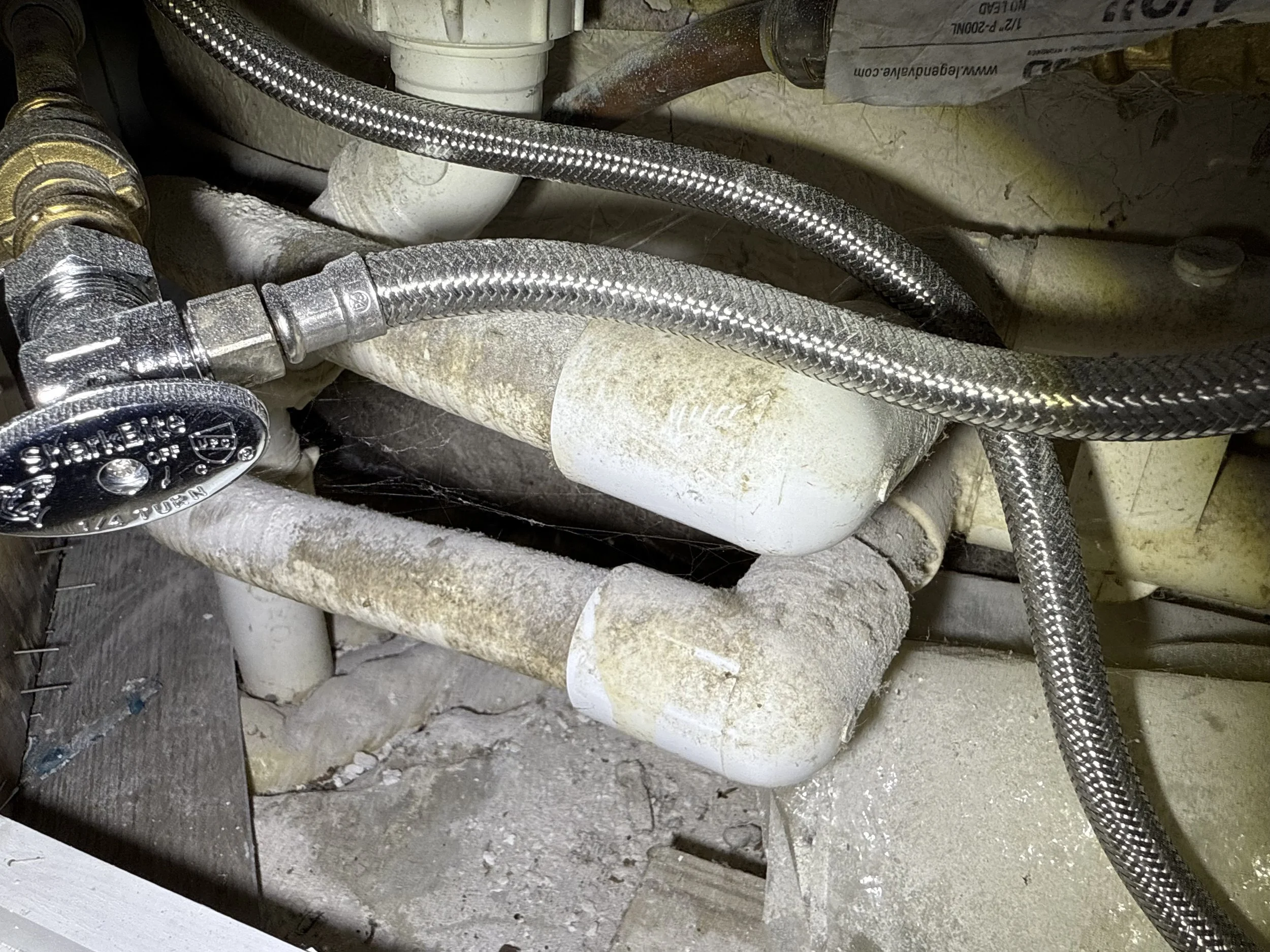 Understanding Microbial Growth &amp; Mold in Your Home