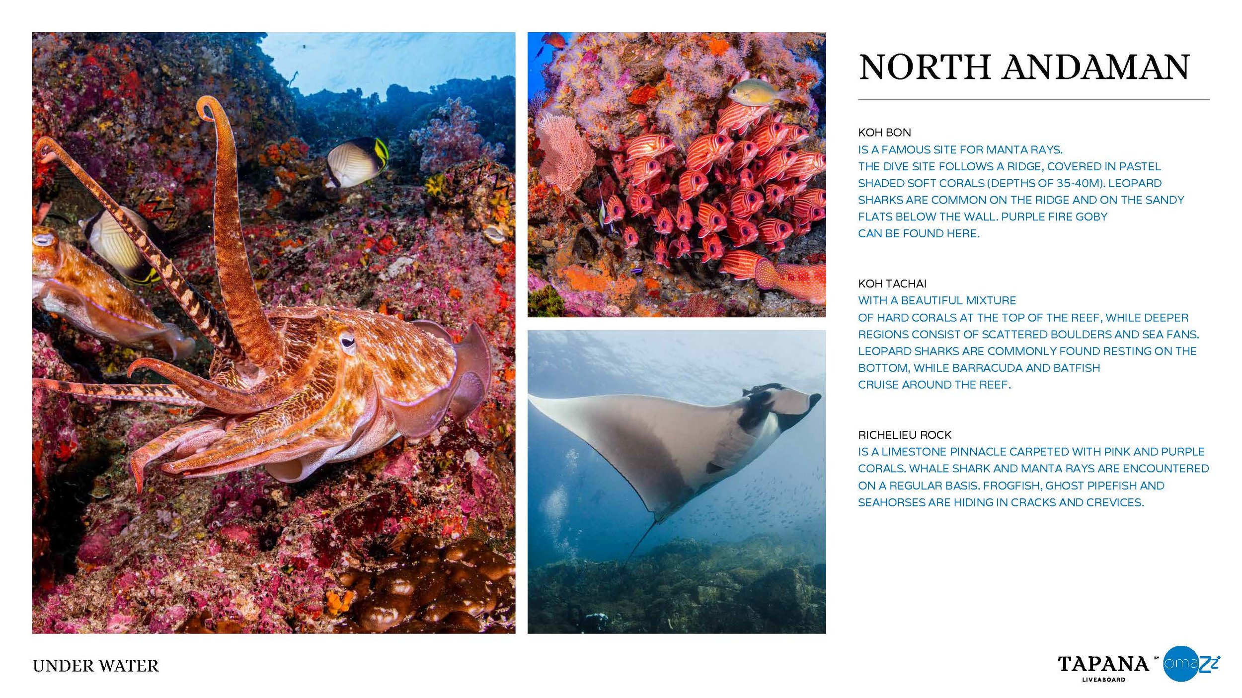 TAPANA_presentation_FINAL_NET(1)_Page_28.jpg