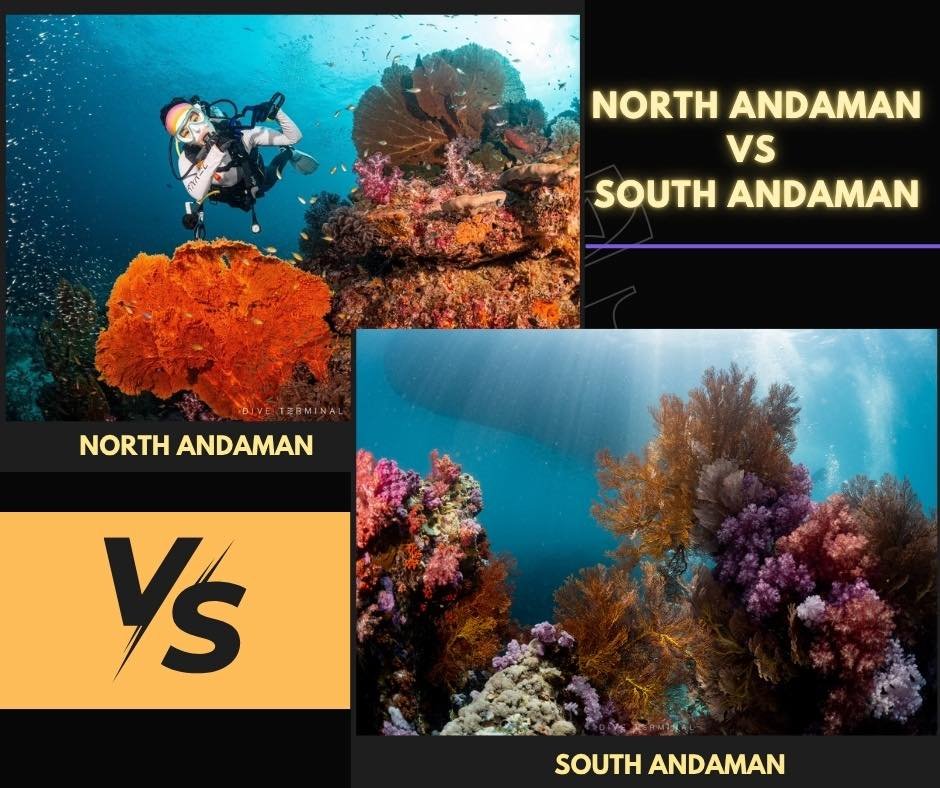 🌊 อันดามันเหนือ vs อันดามันใต้ &mdash; เลือกไปไหนดี? ไปไหนก่อน?
คำตอบสั้นๆ:
&ldquo;ฝูงปลาใหญ่ ปะการังอลังการ&rdquo; &rarr; ไป อันดามันเหนือ
&ldquo;ฟีลลับ ๆ ชิล ๆ ดิบ ๆ มีโอกาสเจอ Manta กับ Whaleshark สูง&rdquo; &rarr; ไป อันดามันใต้

✅ อันดามันเหนือ