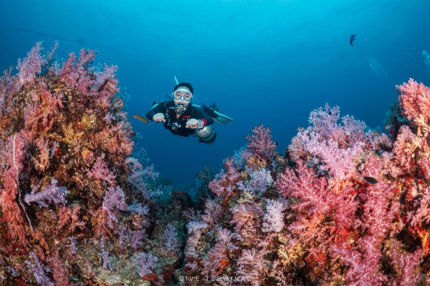 🏝️South Andaman สุดปังแดน Land Scape📸  พีพี เกาะห้า หินม่วง หินแดง หลีเป๊ะ
📌(22)23-26(27) Oct 2025 Summer Liveaboard ก
หลุด 2 ที่
2026
📌 (30 Apr)1-3(4) May 2026  M.V .Chao Ying Noi

🔥สนใจไปร่วมทริปอันดามันกับเรา​หรือมองหาทริปอื่นๆอีกได้ที่ 
📩 F