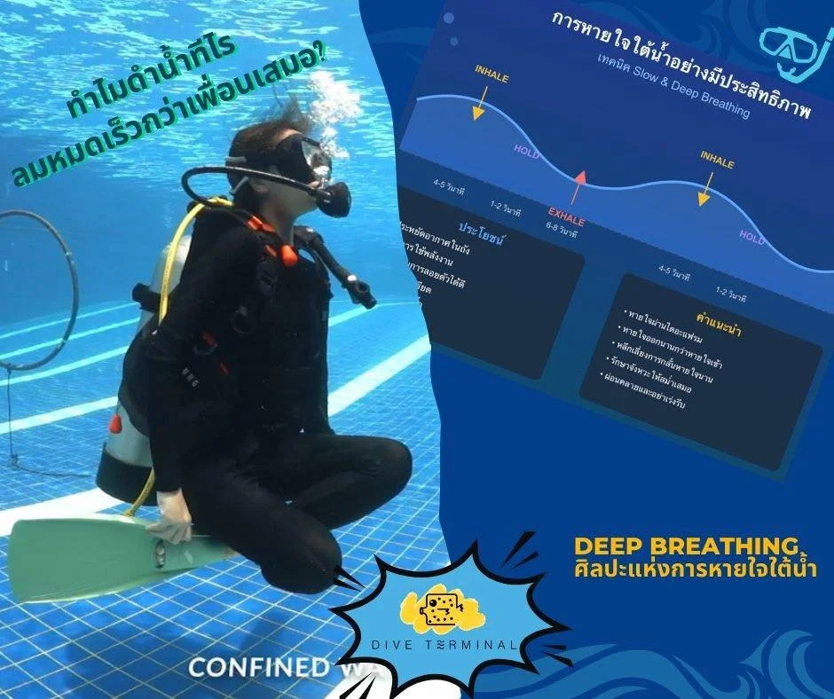 EP: 3 📚 ซีรีส์ Dive Tips by Dive Terminal
🫁 ทำไมดำน้ำทีไร ลมหมดเร็วกว่าเพื่อนเสมอ? 💨
คำถามที่นักดำมือใหม่ถามกันบ่อยที่สุด! วันนี้ Dive Terminal จะพาทุกคนมาเข้าใจเรื่องการหายใจใต้น้ำกัน 🌊
🔍 ทำไมการหายใจใต้น้ำถึงต่างจากบนบก?
เมื่อเราอยู่ใต้น้ำ มี 
