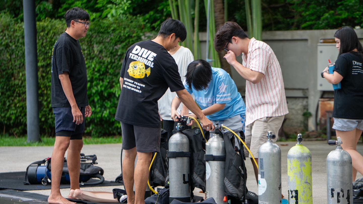 Confine water day 1 🤿ขอบคุณ Muic Diving Club ที่ไว้วางใจให้ Dive Terminal ดูแลการเรียนดำน้ำของทุกคน ทั้ง Open Water และ Advanced 🤿💙
สนุก ปลอดภัย มีรอยยิ้มใต้ทะเลสวย ๆ แบบนี้ ดีใจมากที่ได้เป็นส่วนหนึ่งของความทรงจำดี ๆ กับทุกคน 🌊🐠

เตรียมออกสอบทะเ