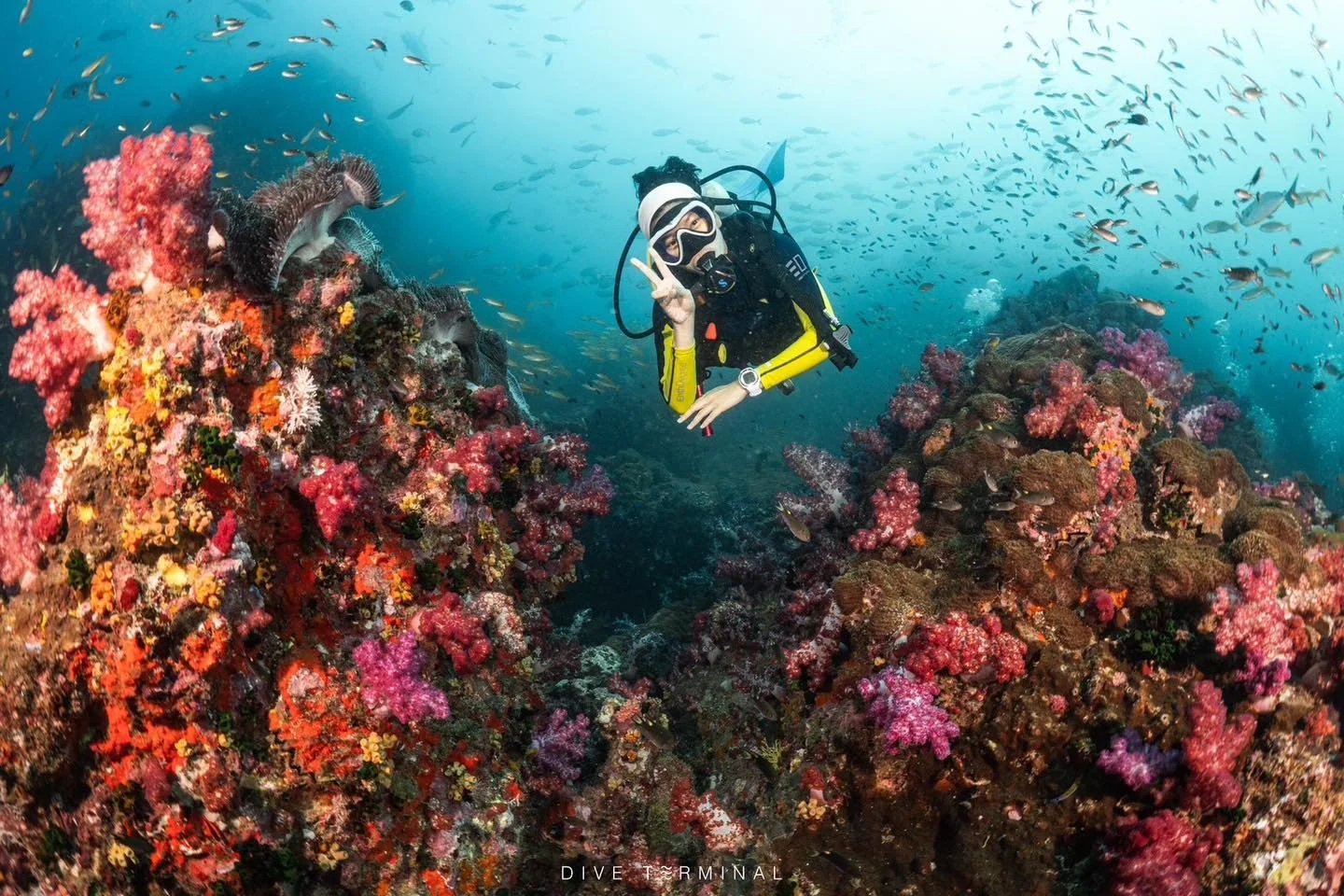 อันดามันเหนือ สวยสะท้าน🤩 เป็นรูท ในดวงใจของใครหลายๆคน 🥰 แล้วเราจะรออะไร ไปรวม 🔓 Unlock กับเรา Dive Terminal กัน 
🥰2025
(17)18-21(22) Dec 2025 Summer Liveaboard

😍2026
(4)5-8(9) Feb 2026 Aquarian Liveaboard
(18)19-22(23) Mar 2026 Aquarian Liveabo