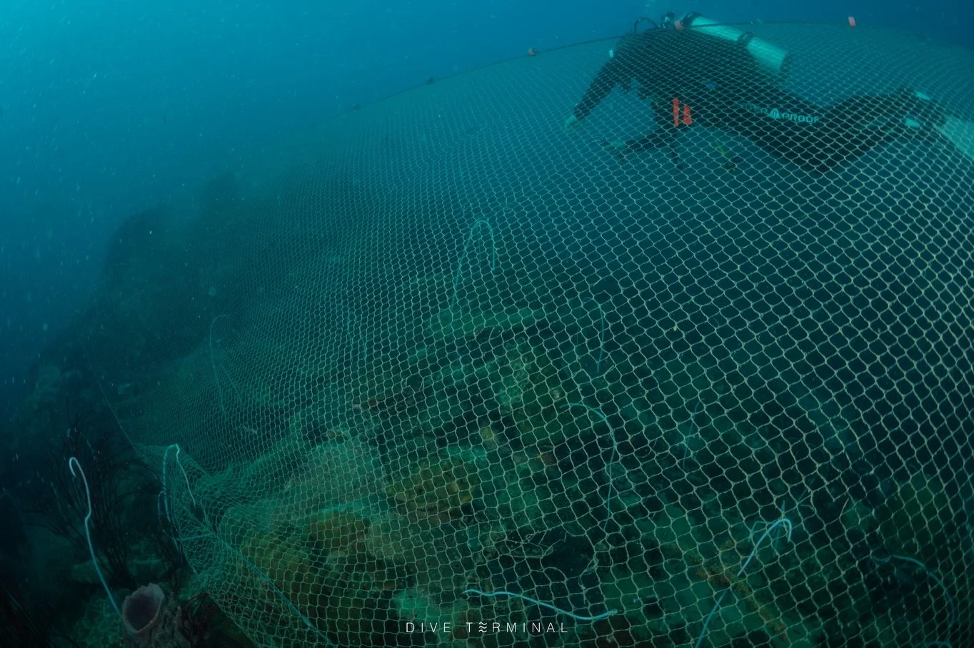 ทริปดำน้ำที่ หินเพลิงตะวันตก ระยอง
สภาพน้ำดี แนวปะการังยังสมบูรณ์

แต่ทั้ง Dive site ถูกคลุมด้วยอวนจับปลาขนาดใหญ่
อวนพันกับปะการัง และมีโอกาสสร้างความเสียหายต่อสิ่งมีชีวิตใต้น้ำในระยะยาว

ทีมงานสต๊าฟ และนักดำน้ำ จาก Dive Terminal
ร่วมกับครูโน๊ต จากเร