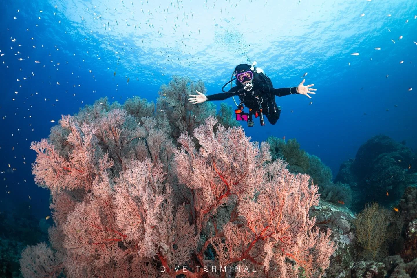 อันดามันเหนือรอบที่ผ่านมา น้ำใสแบบเห็นแล้วใจมันฟูเลย ✨ ปลาว่ายผ่านไปมาแบบไม่รีบ บรรยากาศคือชิล ๆ สบาย ๆ ดำน้ำไป ยิ้มไปทั้งทริป 🐠

ทริปนี้ไม่ได้มีดีแค่วิวใต้น้ำ
แต่มีเสียงหัวเราะ มิตรภาพใหม่ ๆ
และโมเมนต์ดี ๆ บนเรือที่ทำให้คิดว่า
&ldquo;ทริปดำน้ำที่ดี