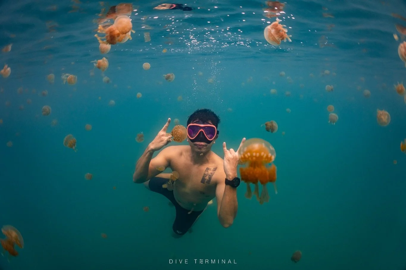 Jelly fish lake : Raja Ampat

Schedule for Raja Ampat
27 Dec 2026 - 5 Jan 2027

Contact us
📩 FB: http://m.me/Diveterminal
🪪 https://linkdee.co/diveterminal
📱Line: @Diveterminal หรือคลิก https://lin.ee/fFuTLRd
📌 IG : diveterminal

#diveterminal #s