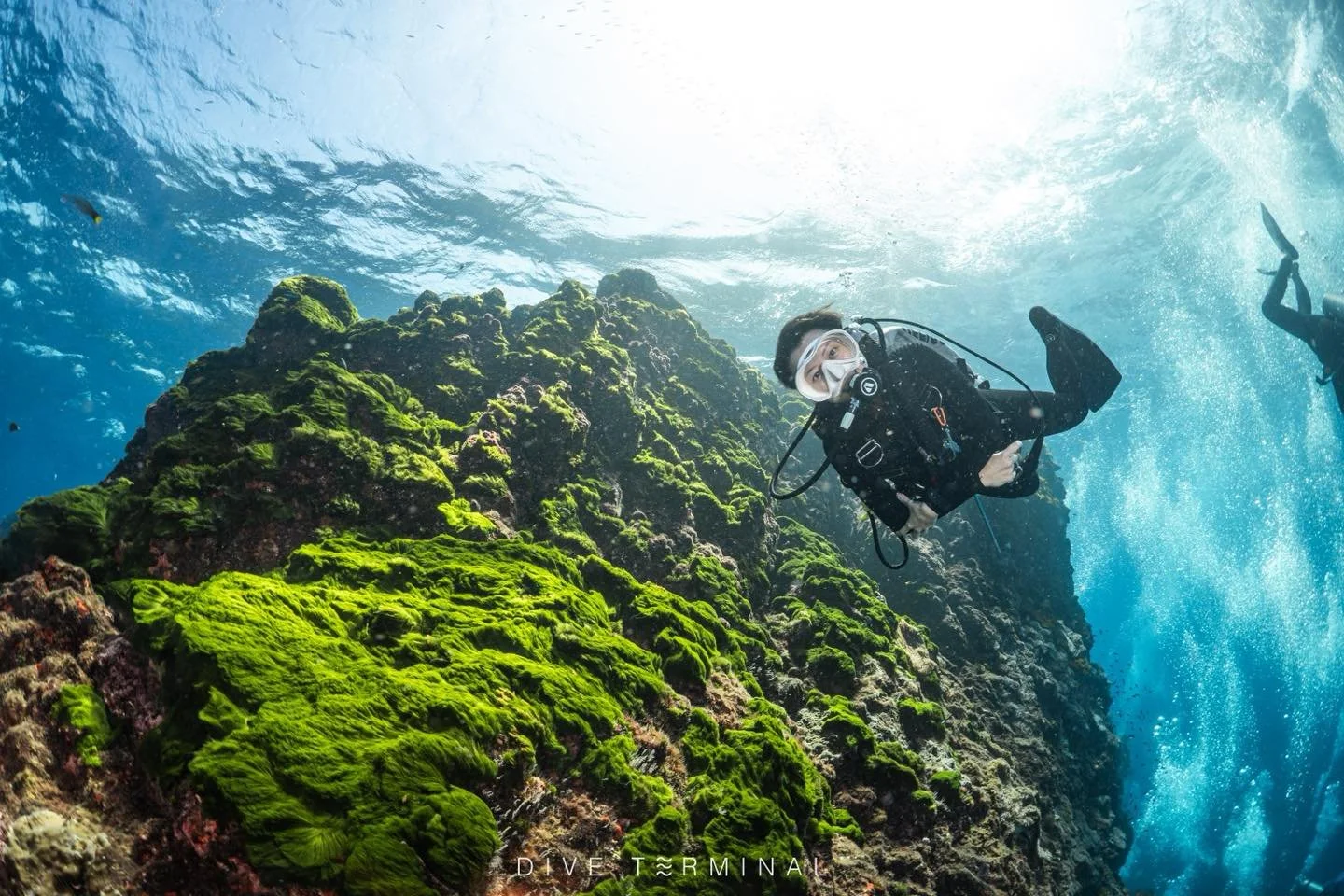 😊 อันดามันเหนือ 2026 
(4)5&ndash;8(9) Feb 2026 &mdash; Aquarian Liveaboard 4 ที่สุดท้าย
(2)3&ndash;6(7) Apr 2026 &mdash; Summer Liveaboard

ทริปที่ไม่ได้มีดีแค่วิวใต้น้ำ
แต่มีเสียงหัวเราะ มิตรภาพใหม่ ๆ
และโมเมนต์ดี ๆ บนเรือที่ทำให้คิดว่า
&ldquo;ทริป