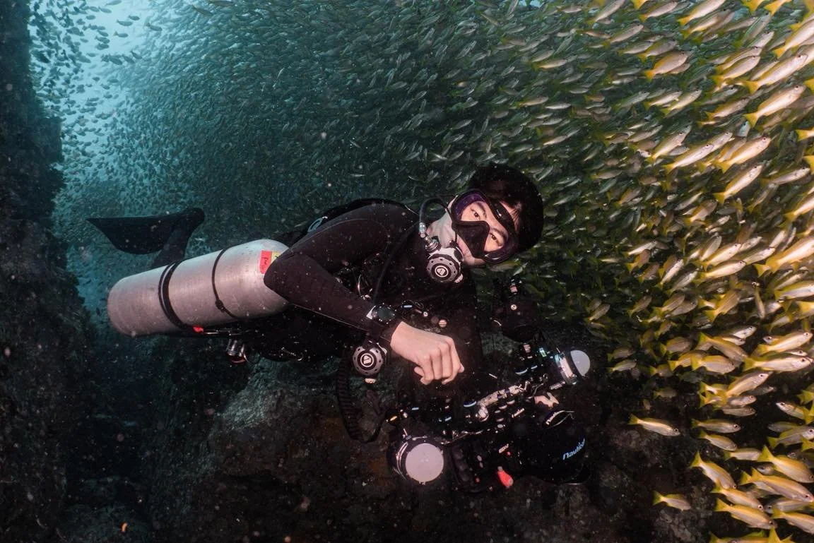 &ldquo;ทริปเกาะเต่า&ndash;ชุมพรคือที่สุดจริง 🐠 เดินทางก็ง่าย ลางานก็อสนน้อย
✅(11)12-14 Jun 2026 

น้ำใสแบบเห็นกันชัด ๆ ตั้งแต่ลงฝูงปลาเยอะจนหันไปทางไหนก็มีปลาเพียบ 
บอกเลยไม่เสียดาย เพราะทุก dive มันมีอะไรให้ว้าวตลอดเวลา 🌸
ได้ทั้งภาพสวย ๆ ใต้น้ำ ได