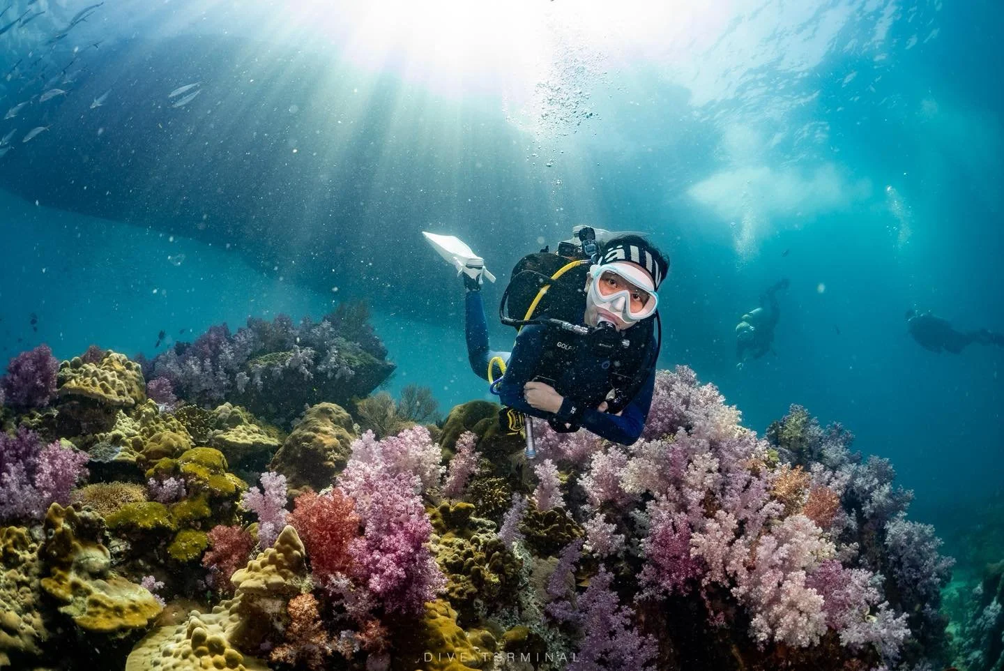 ใครไม่เป๊ะ หลีเป๊ะ💛💛 Lipe  ช่วงไหนก็สวยไม่แพ้กัน ตาลังที่ดำแล้วตะลึง 
(2)3-5(6) July 2026 Aqua Liveabord ลางานน้อยมาก 

🔥สนใจไปร่วมทริปอันดามันกับเรา​หรือมองหาทริปอื่นๆอีกได้ที่ 
📩 FB: http://m.me/Diveterminal 
📱Line: @Diveterminal หรือคลิก http