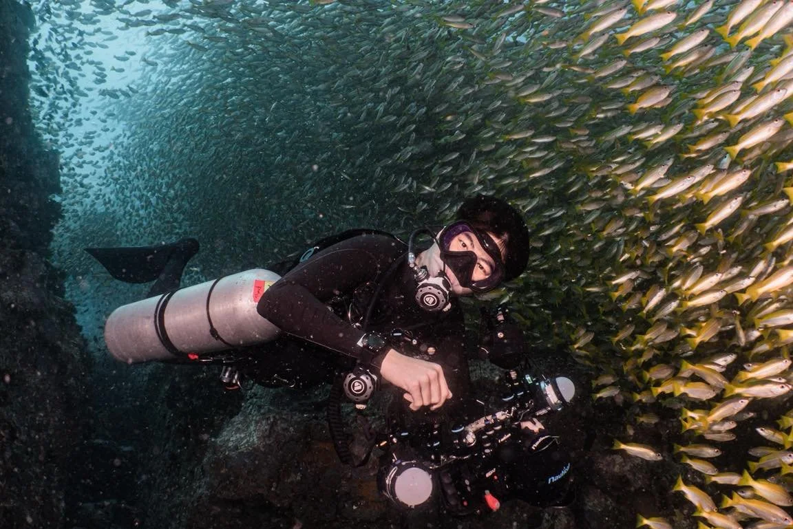 &ldquo;ทริปเกาะเต่า&ndash;ชุมพรคือที่สุดจริง 🐠 เดินทางก็ง่าย ลางานก็อสนน้อย
✅(11)12-14 Jun 2026 

น้ำใสแบบเห็นกันชัด ๆ ตั้งแต่ลงฝูงปลาเยอะจนหันไปทางไหนก็มีปลาเพียบ 
บอกเลยไม่เสียดาย เพราะทุก dive มันมีอะไรให้ว้าวตลอดเวลา 🌸
ได้ทั้งภาพสวย ๆ ใต้น้ำ ได