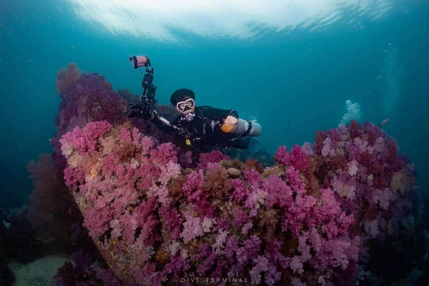 ใครไม่เป๊ะ หลีเป๊ะ💛💛 Lipe  ช่วงไหนก็สวยไม่แพ้กัน ตาลังที่ดำแล้วตะลึง 
(2)3-5(6) July 2026 Aqua Liveabord ลางานน้อยมาก 

🔥สนใจไปร่วมทริปอันดามันกับเรา​หรือมองหาทริปอื่นๆอีกได้ที่ 
📩 FB: http://m.me/Diveterminal 
📱Line: @Diveterminal หรือคลิก http