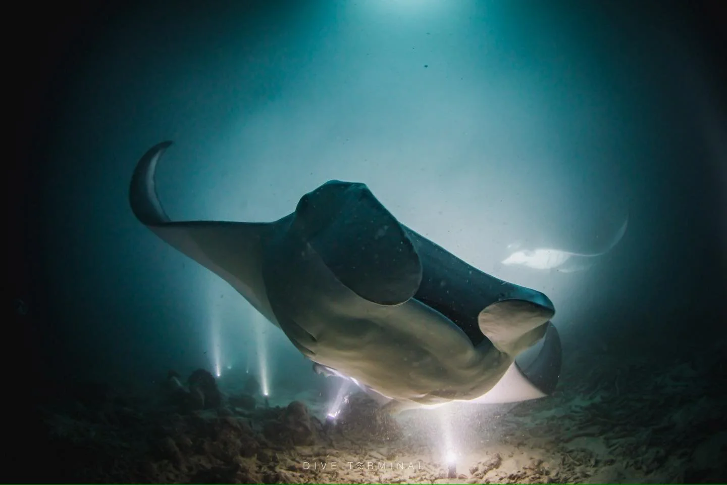 มัลดีฟส์ ดียังไง? ต้องบอกเลย Maldives ดีต่อใจ

2026
🥰(11)12-17(18) April 2026 Best of Maldives (2 ที่สุดท้าย) ลางานน้อยมาก 
🥰(5)6-11(12) Dec 2026 Best of Maldives

2027
🥰 (20)21-26(27) Feb Deep south Maldives 

🌊 มัลดีฟส์ ดียังไง? ทำไมต้องไปดำน้ำ