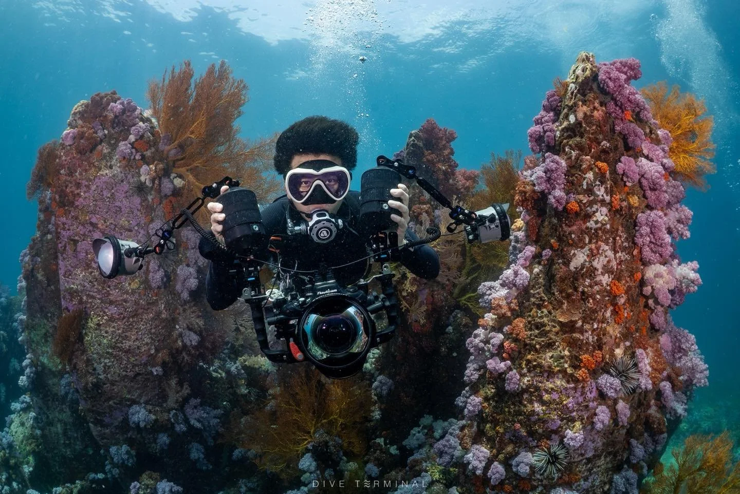 ใครไม่เป๊ะ หลีเป๊ะ💛💛 Lipe  ช่วงไหนก็สวยไม่แพ้กัน ตาลังที่ดำแล้วตะลึง 
(2)3-5(6) July 2026 Aqua Liveabord ลางานน้อยมาก 

🔥สนใจไปร่วมทริปอันดามันกับเรา​หรือมองหาทริปอื่นๆอีกได้ที่ 
📩 FB: http://m.me/Diveterminal 
📱Line: @Diveterminal หรือคลิก http