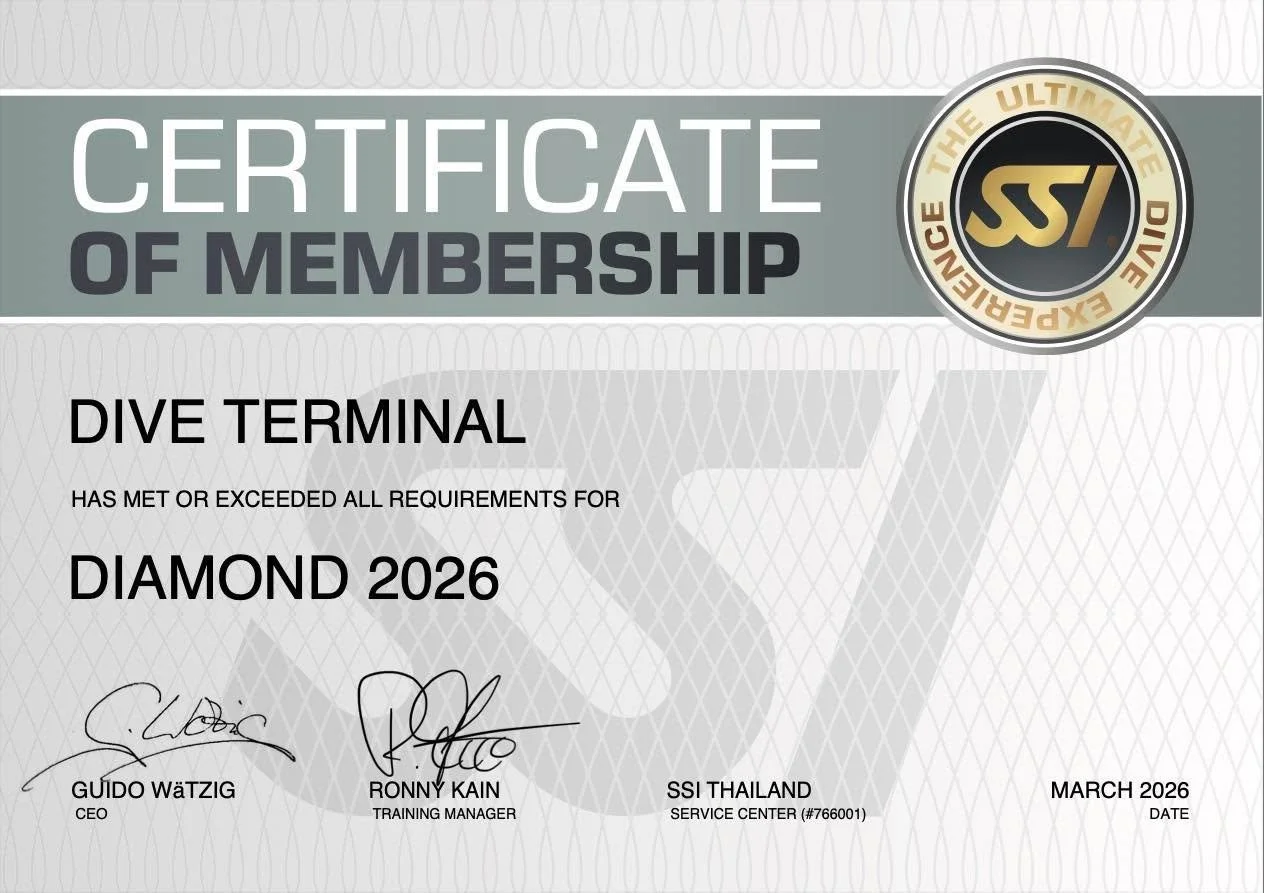 🌊 From passion to SSI Diamond Dive Center💎
ขอบคุณลูกค้าทุกคนที่ไว้วางใจ Dive Terminal
ให้เราได้เป็นส่วนหนึ่งของทุกก้าวใต้น้ำ
ทุกการเรียนรู้ ทุกการเดินทาง และทุกความทรงจำที่สวยงามในโลกใต้ทะเล
ตลอดระยะเวลาเพียง 1 ปี

ความสำเร็จในการก้าวขึ้นสู่ระดับ
✨