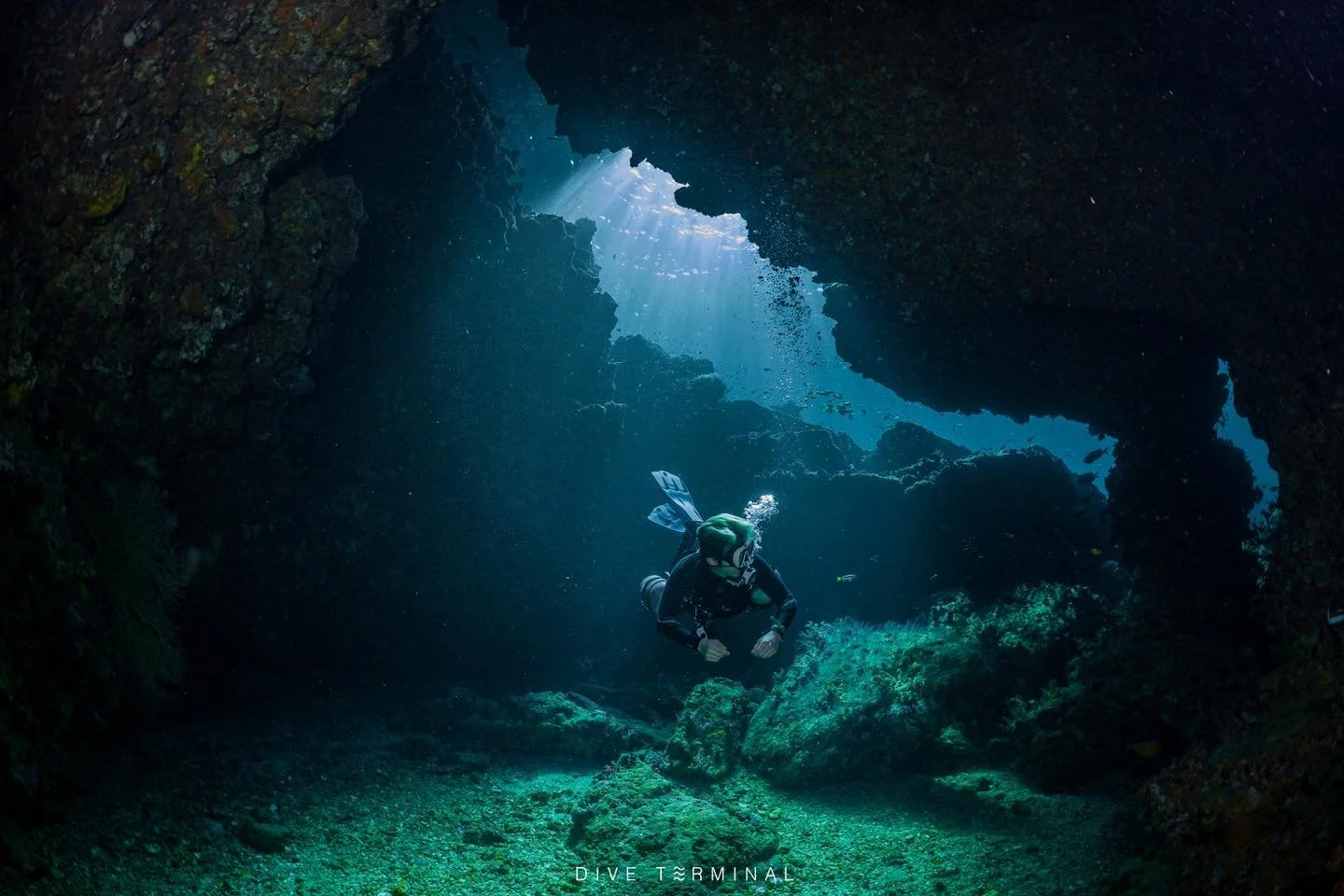 🏝️South Andaman สุดปังแดน Land Scape📸  พีพี เกาะห้า หินม่วง หินแดง หลีเป๊ะ
📌(21)22-25(26) Oct 2025  Aquarian Liveaboard

🔥สนใจไปร่วมทริปอันดามันกับเรา​หรือมองหาทริปอื่นๆอีกได้ที่ 
📩 FB: http://m.me/Diveterminal
📱Line: @Diveterminal หรือคลิก htt