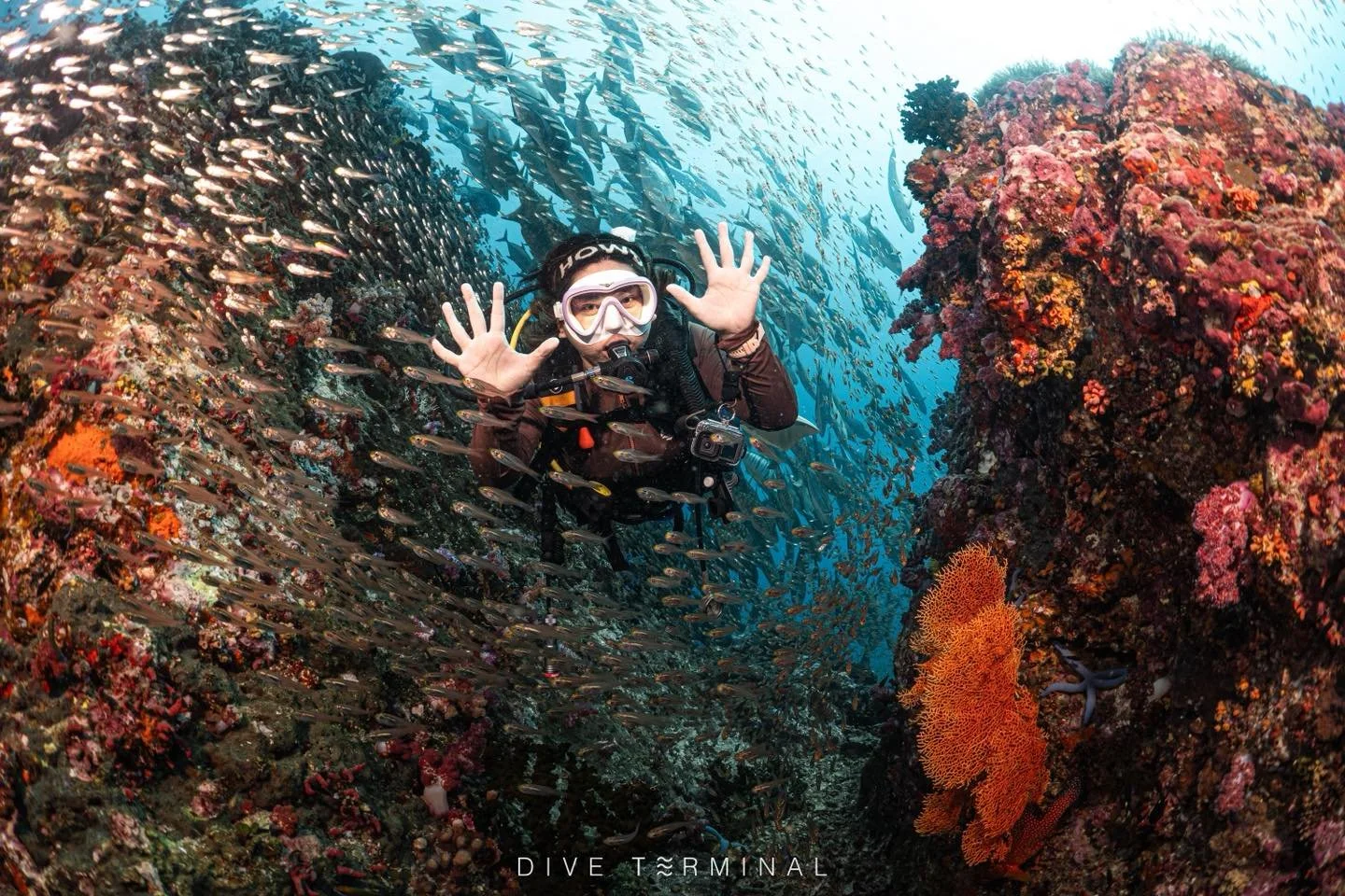 😊 อันดามันเหนือ 2026 
(11)12-15(16) NOV 2026 - Summer Liveaboard
(18)19-22(23) NOV 2026 - VELA LIVEABOARD
(3)4-7(8) DEC 2026 - Summer Liveaboard

ทริปที่ไม่ได้มีดีแค่วิวใต้น้ำ
แต่มีเสียงหัวเราะ มิตรภาพใหม่ ๆ
และโมเมนต์ดี ๆ บนเรือที่ทำให้คิดว่า
&ldqu