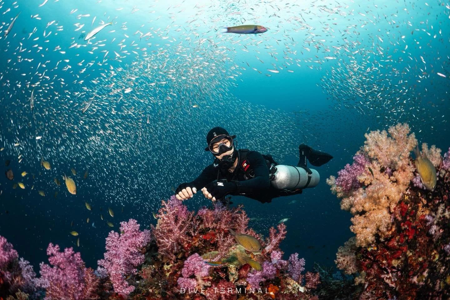 🏝️South Andaman สุดปังแดน Land Scape📸  พีพี เกาะห้า หินม่วง หินแดง หลีเป๊ะ
2026
📌 (21)22-25(26) Oct 2026 Aquarian Liveaboard
📌 (11)12-15(16) NOV 2026 Summer Liveaboard

🔥สนใจไปร่วมทริปอันดามันกับเรา​หรือมองหาทริปอื่นๆอีกได้ที่ 
📩 FB: http://m.m
