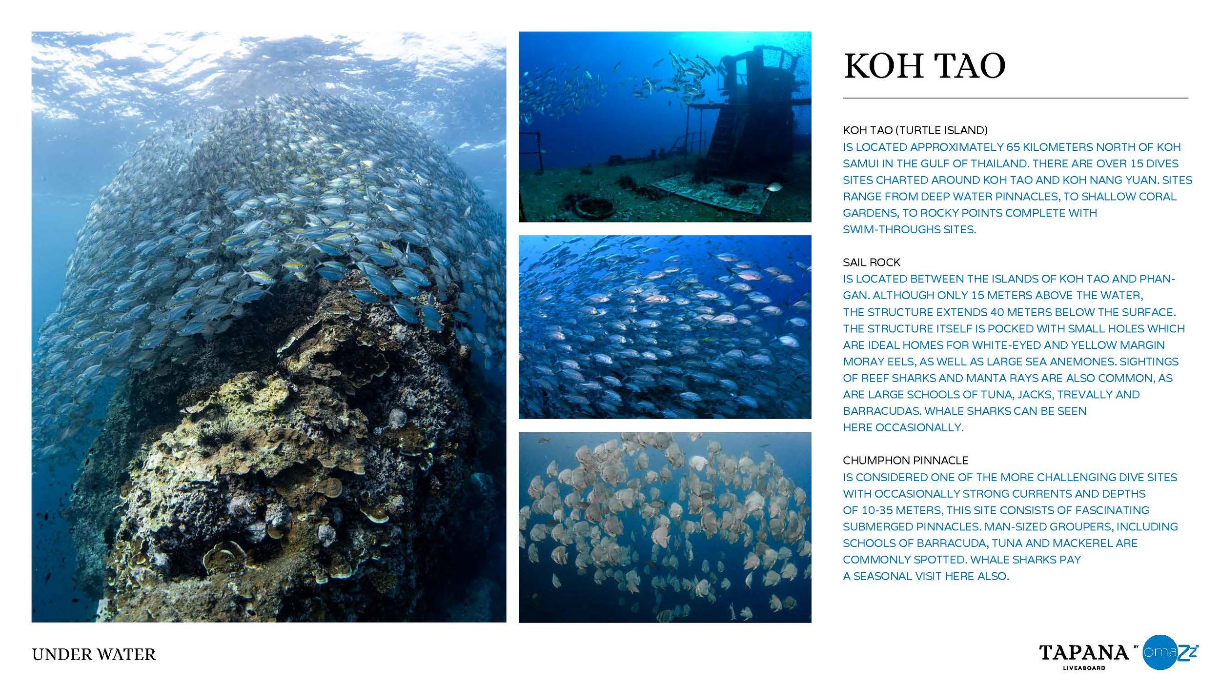 TAPANA_presentation_FINAL_NET(1)_Page_31.jpg