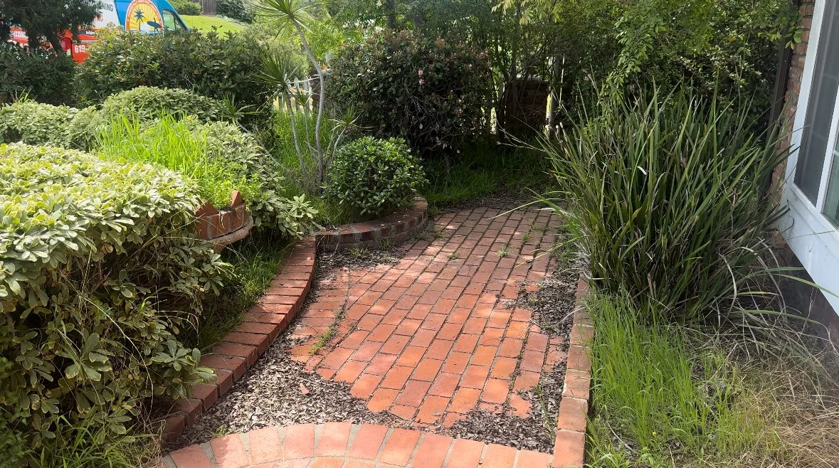 Brick pathway leading to a garden with various green plants and bushes, some trimmed and others overgrown.