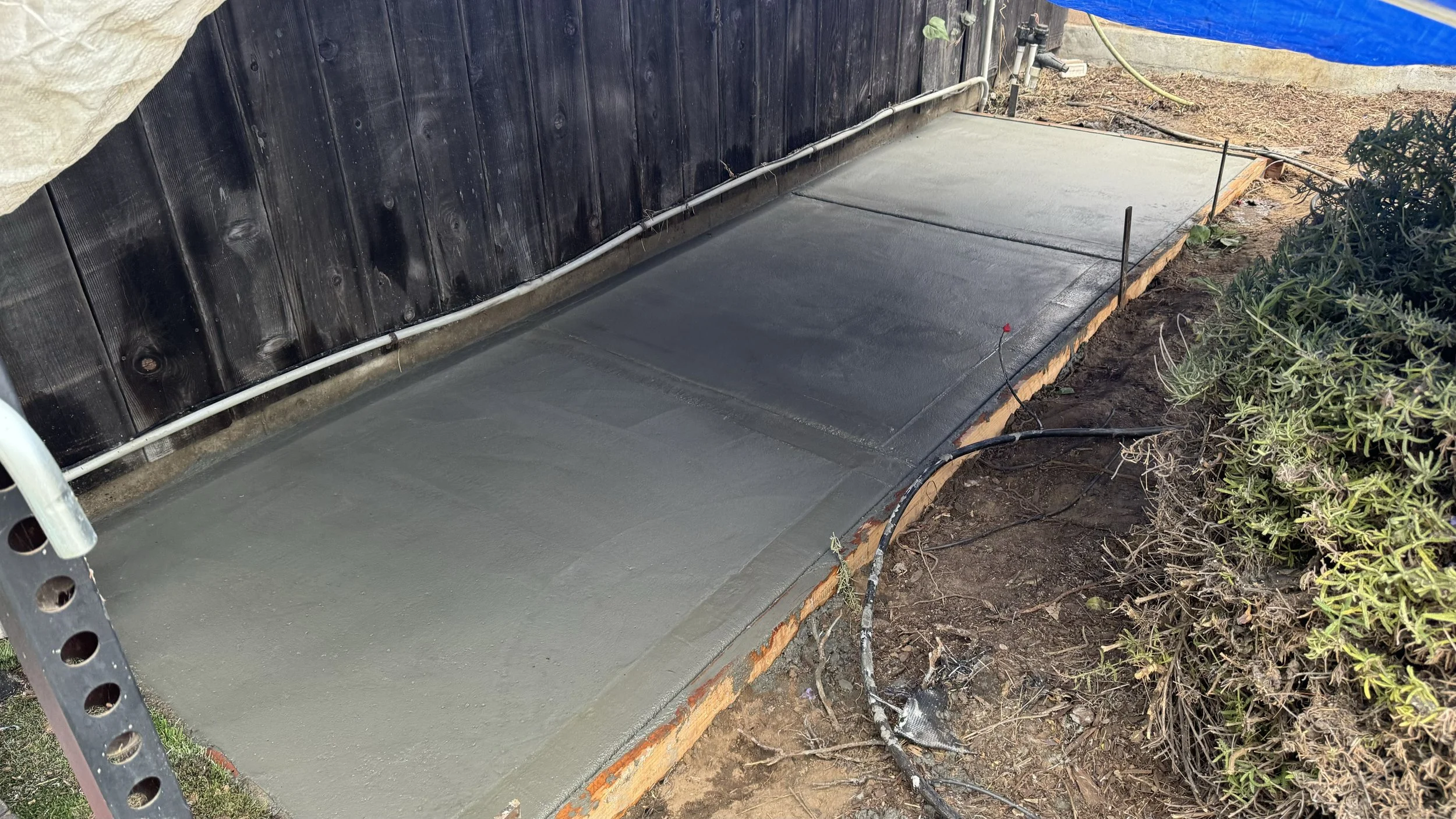Newly poured concrete sidewalk section next to a black wooden fence, with some electrical wiring and small plants nearby.