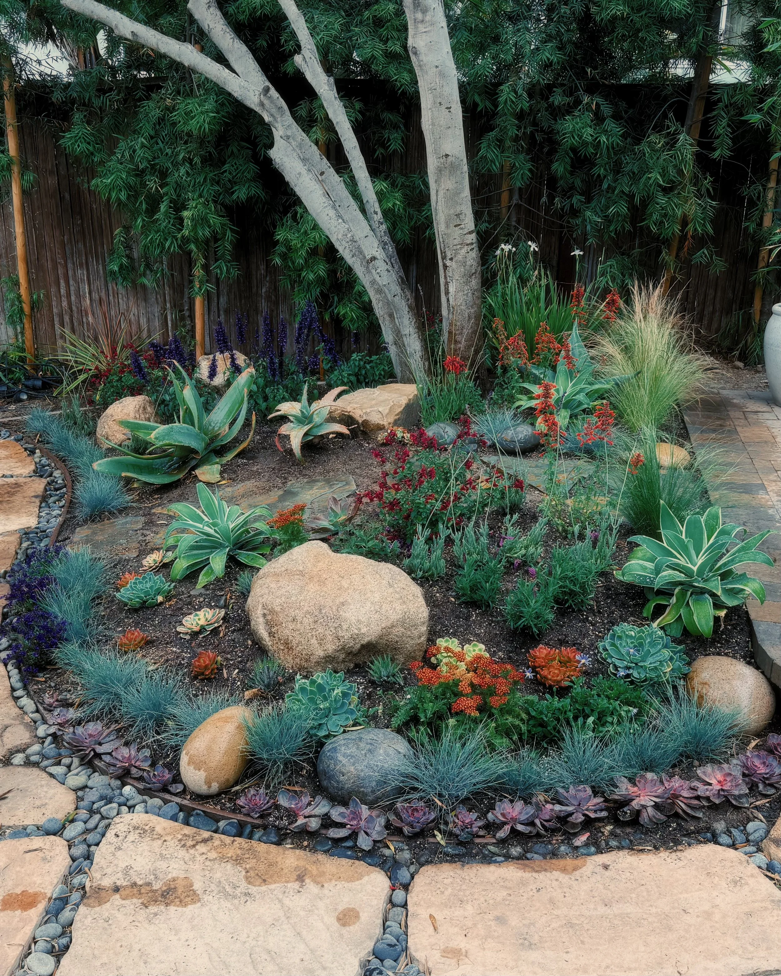 A landscaped garden with a variety of succulents, agave plants, colorful flowering plants, large rocks, and a wooden fence in the background. A rock-bordered pathway surrounds the garden.